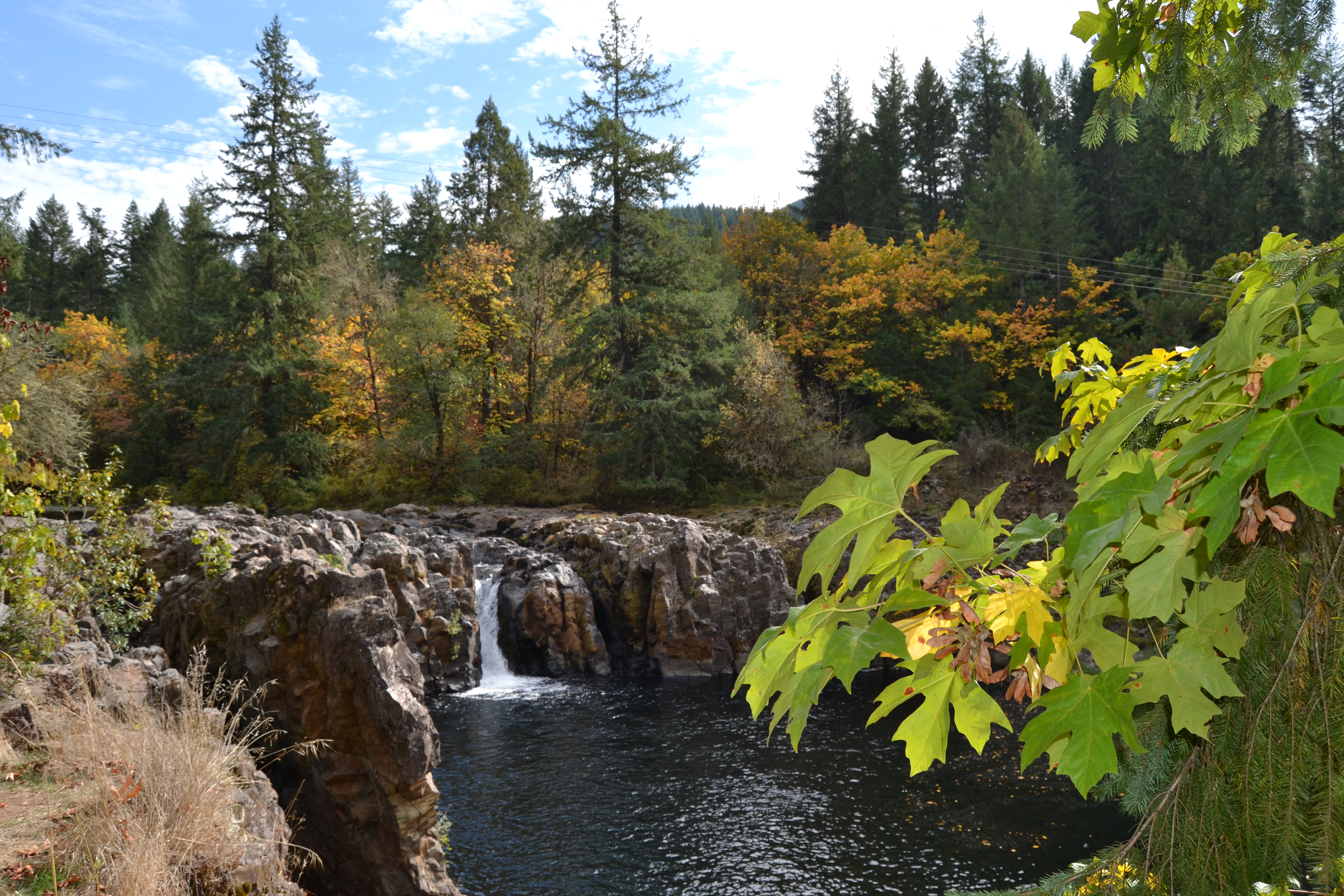 Wildwood Falls