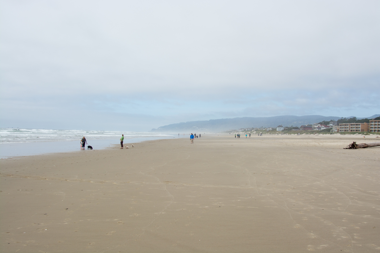 Discover Heceta Beach County Park: Your Ultimate Travel Guide