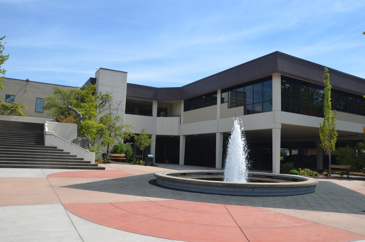 Springfield Town Library