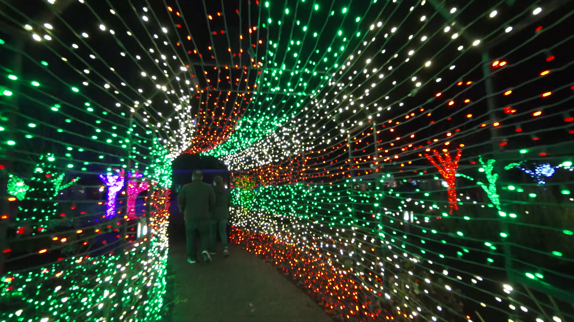 Village Green Christmas Market Holiday Lights