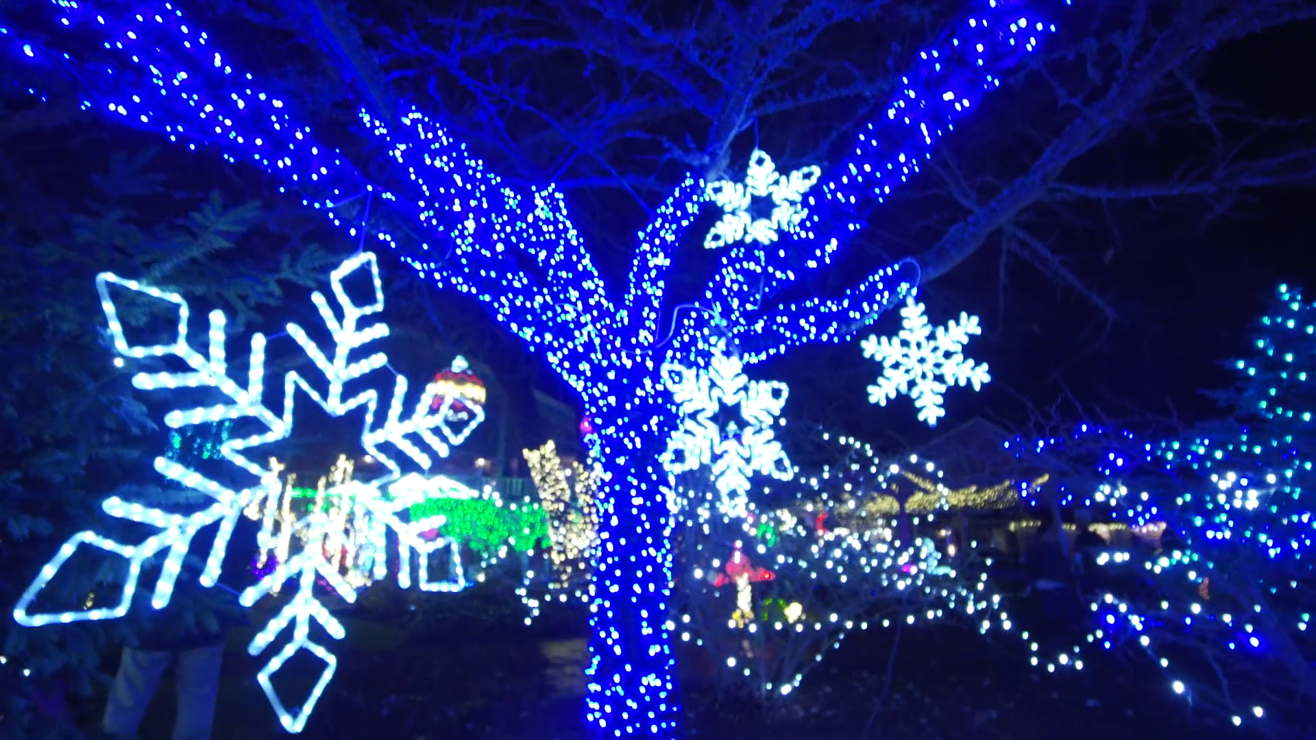 Village Green Christmas Market Holiday Lights