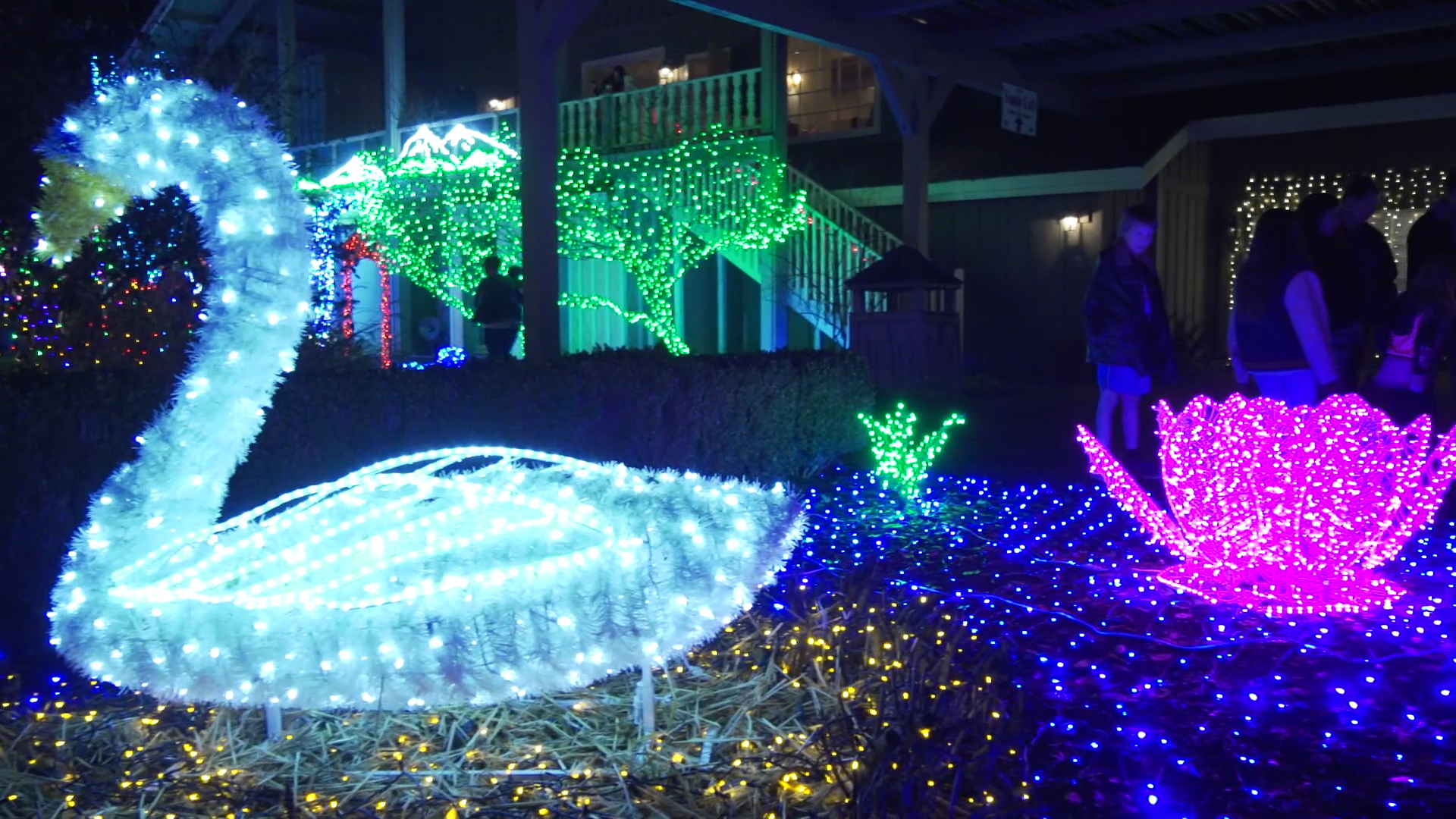 Village Green Christmas Market Holiday Lights