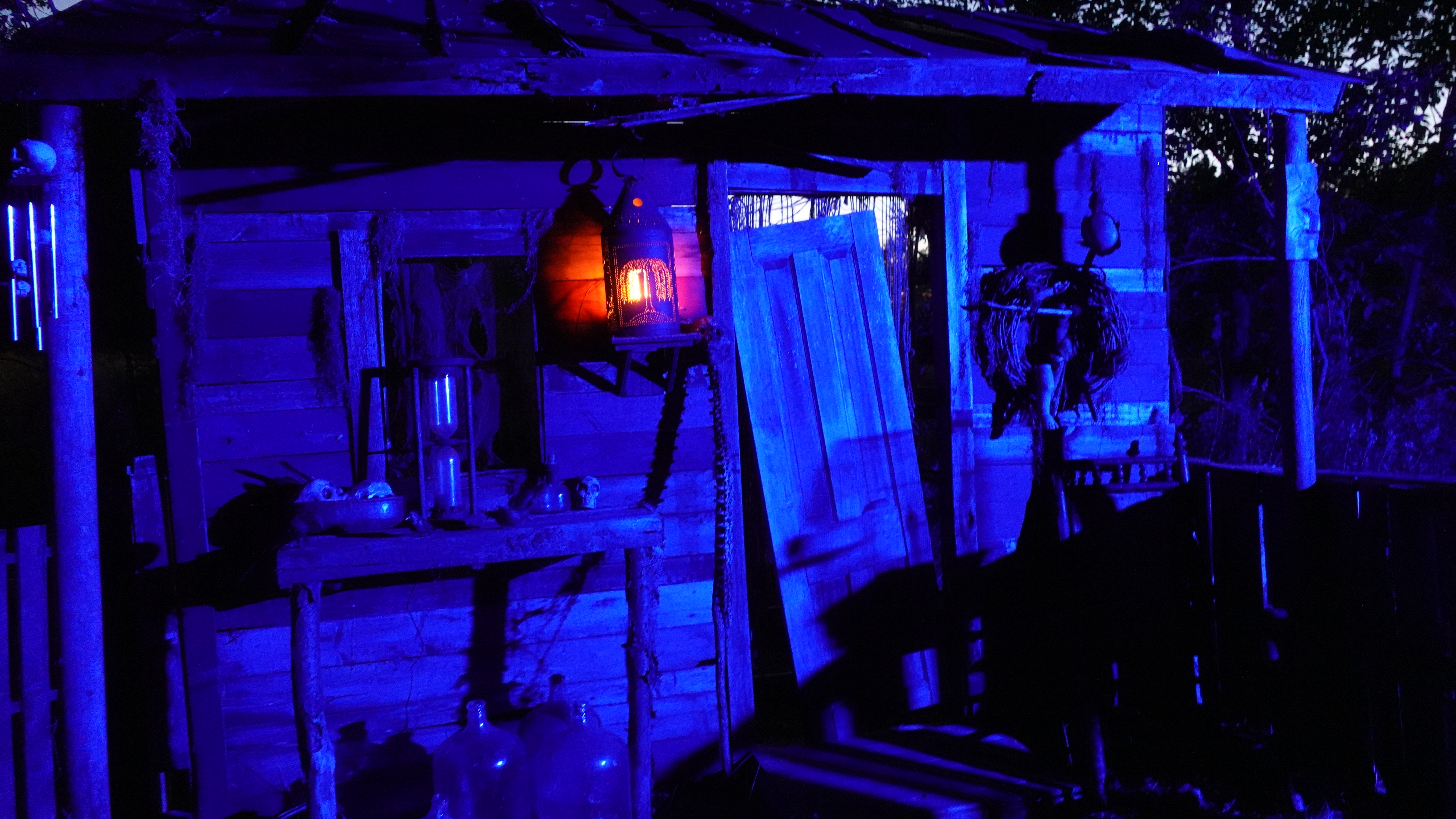 DSC00346_34EC1EBB-5056-A36A-