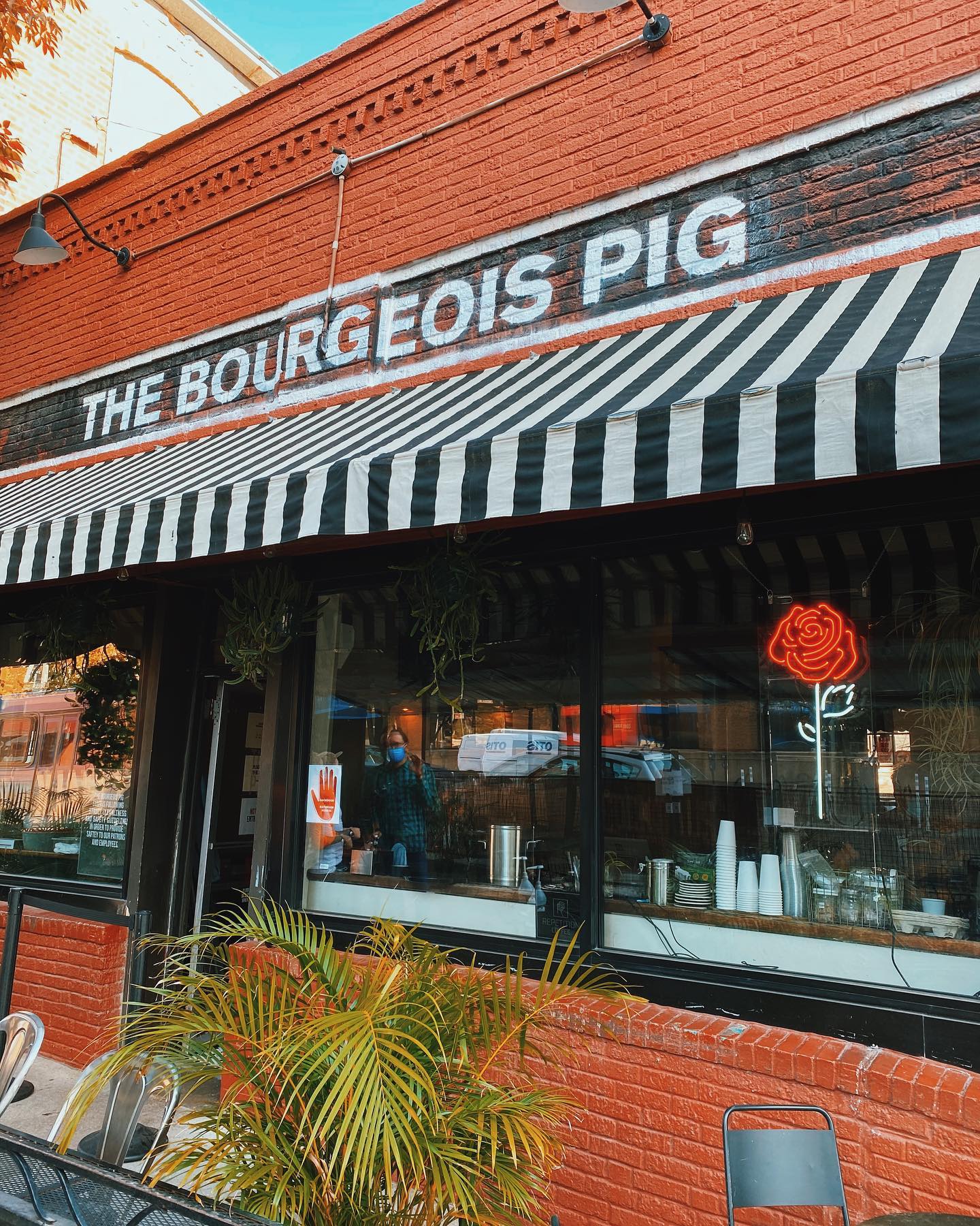 The Bourgeois Pig