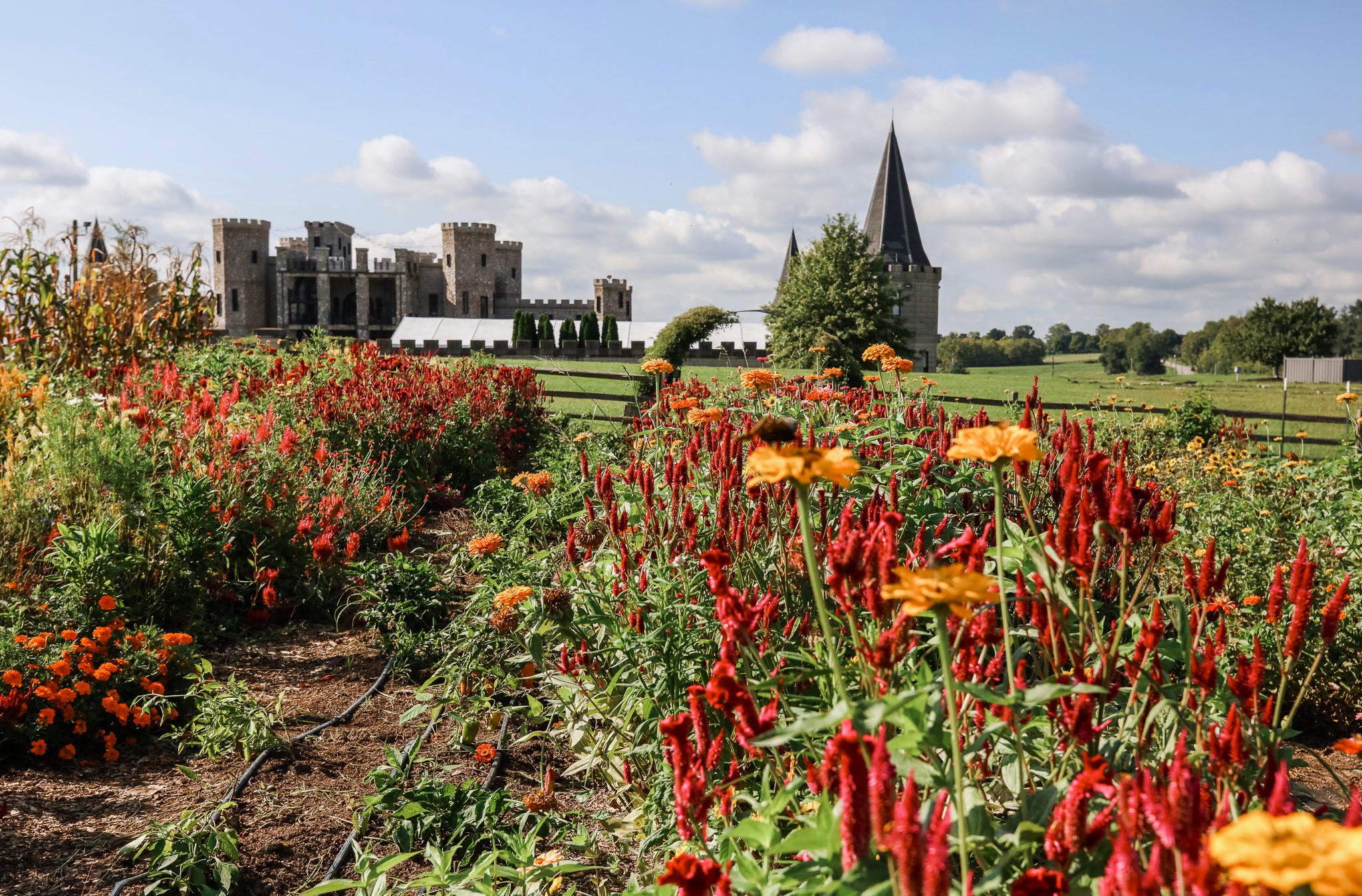 Garden-KY-Castle_C5799C94-CD20