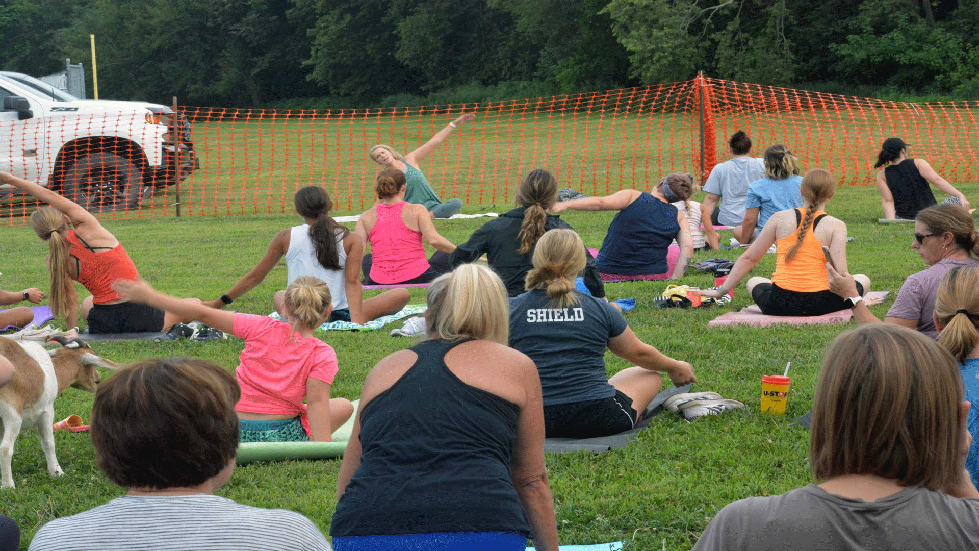 Hickman Hay Days presents Goat Yoga In The Park