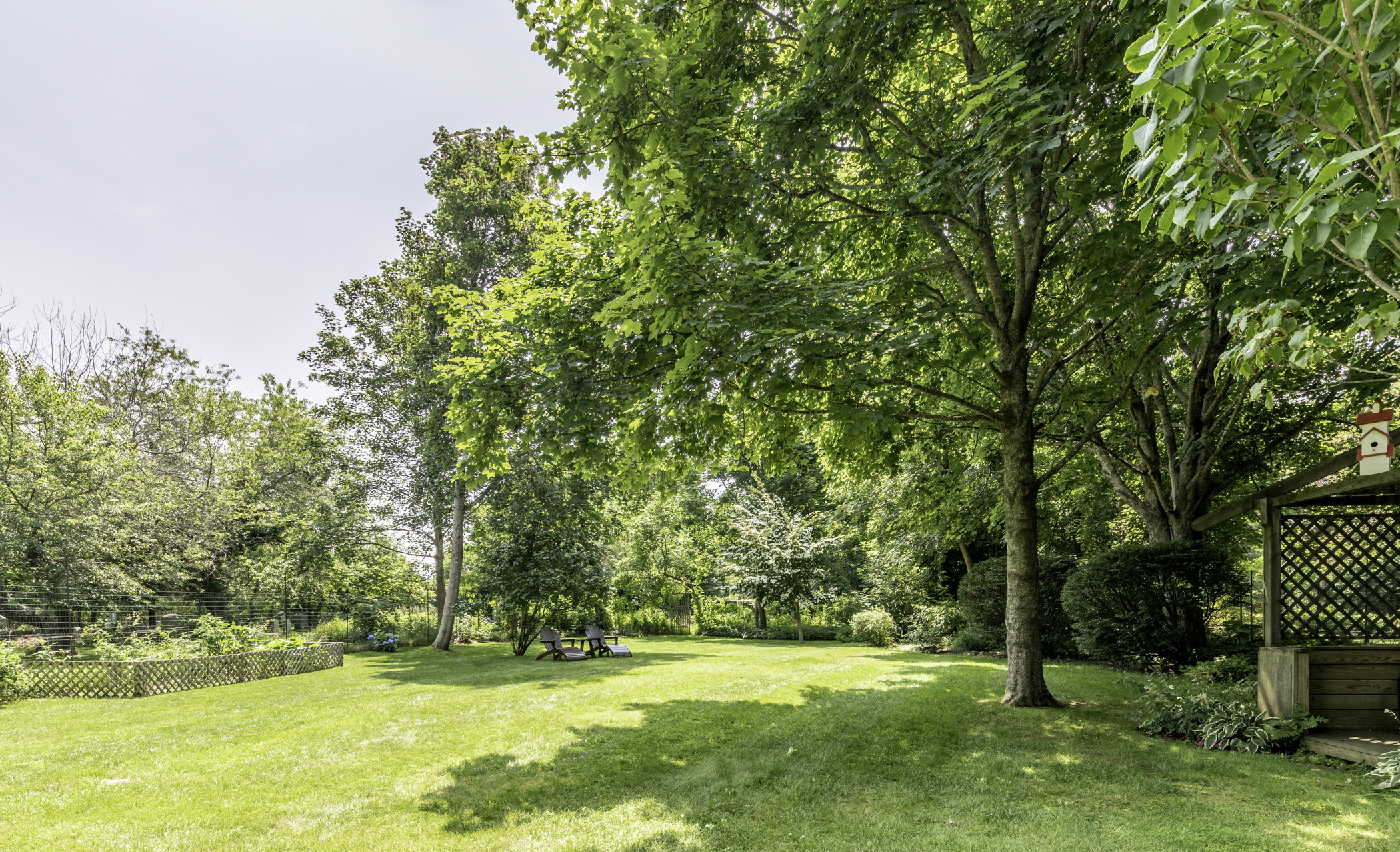 Backyard - Our backyard. Great place for your dog to run.