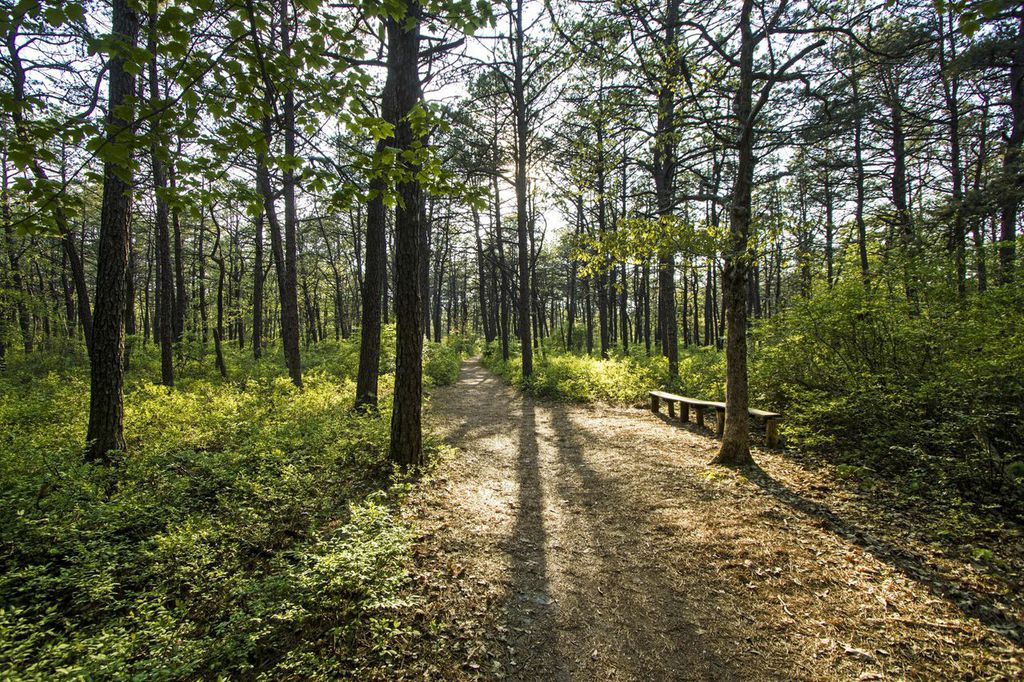 Quogue Wildlife Refuge Trails - credit: Robert Seifert