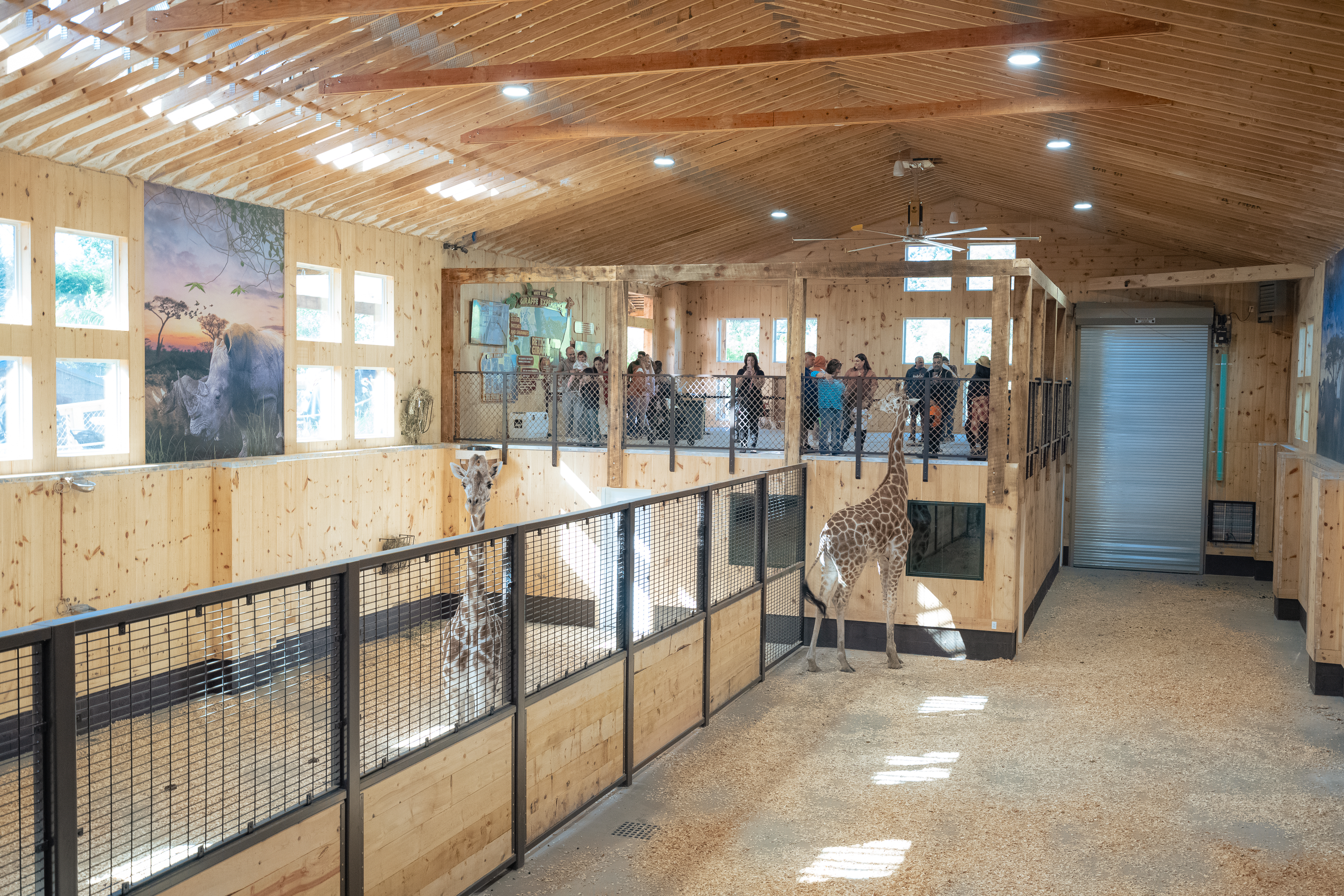 The Giraffe Experience at White Post Farms