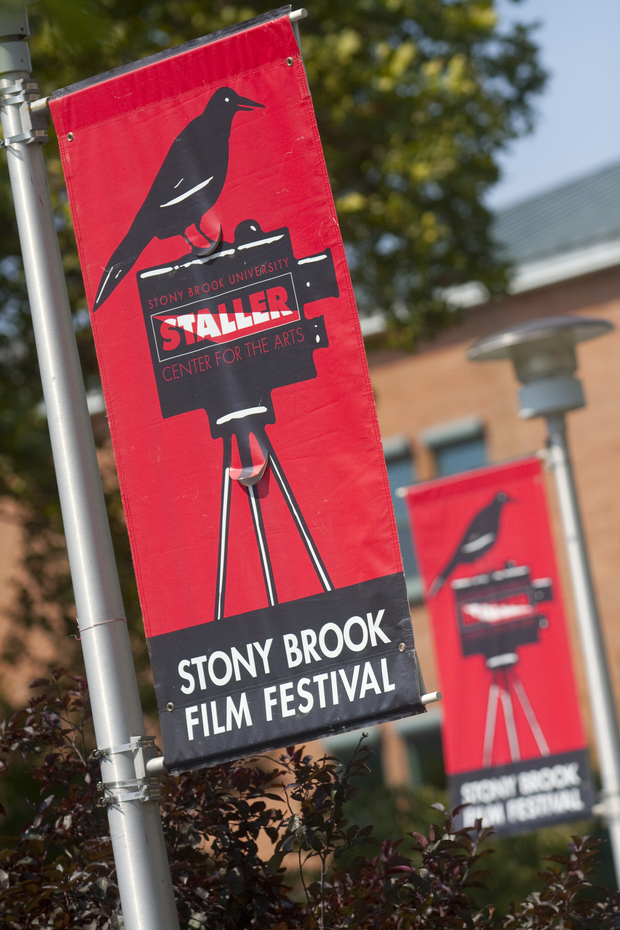 Stony Brook Film Festival - The Staller Center for the Arts presents the Stony Brook Film Festival annually in July. For more information visit stonybrookfilmfestival.com