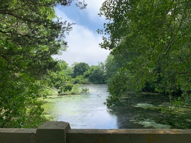 Brookside County Park