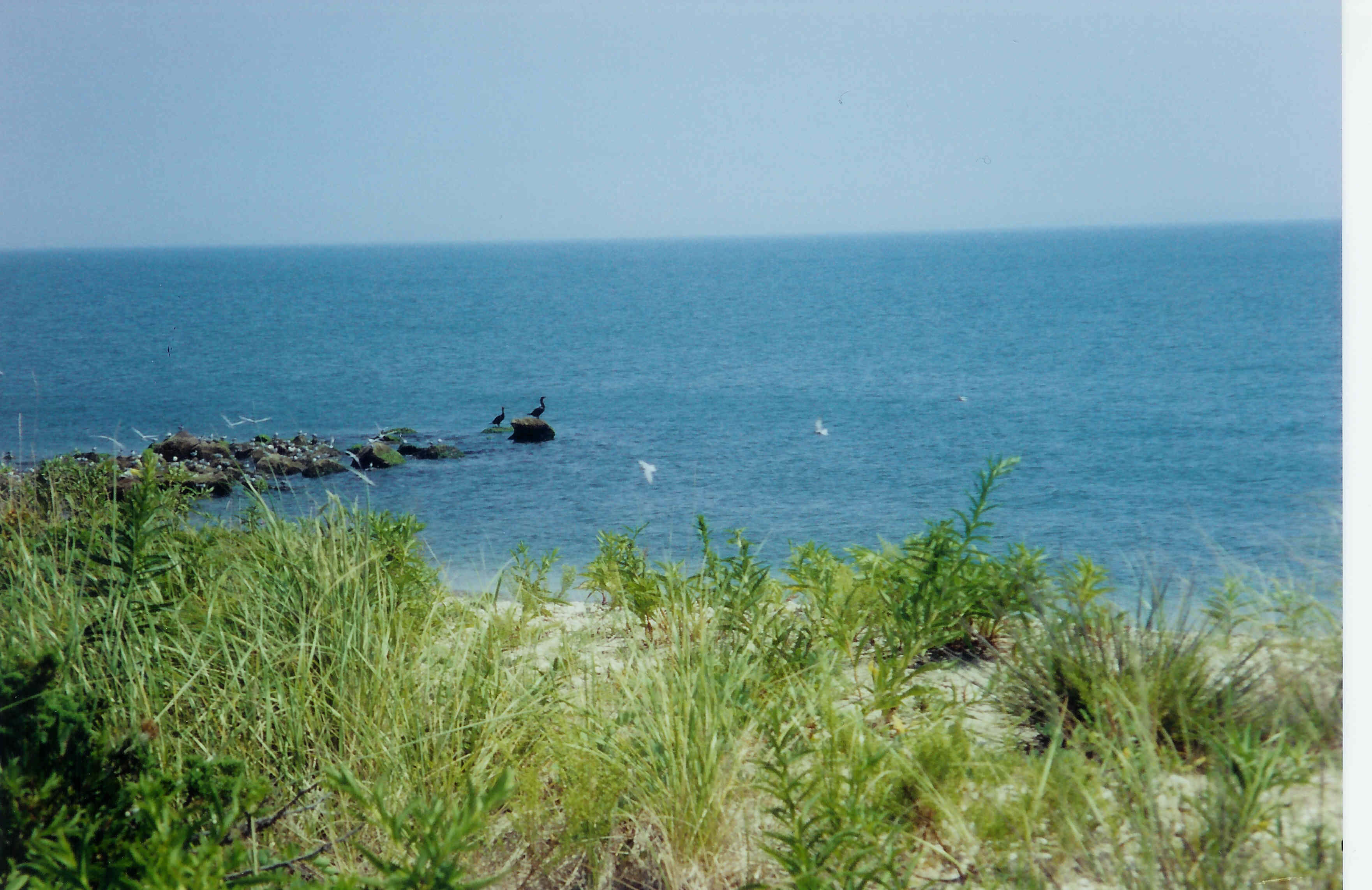 1374_222__orient state parkKKM.jpg