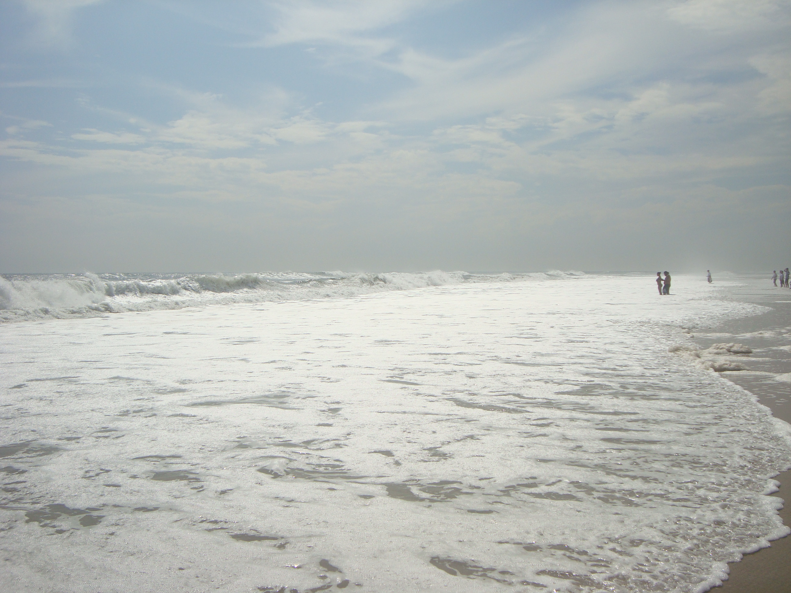 1411_403_Cupsogue 079.jpg