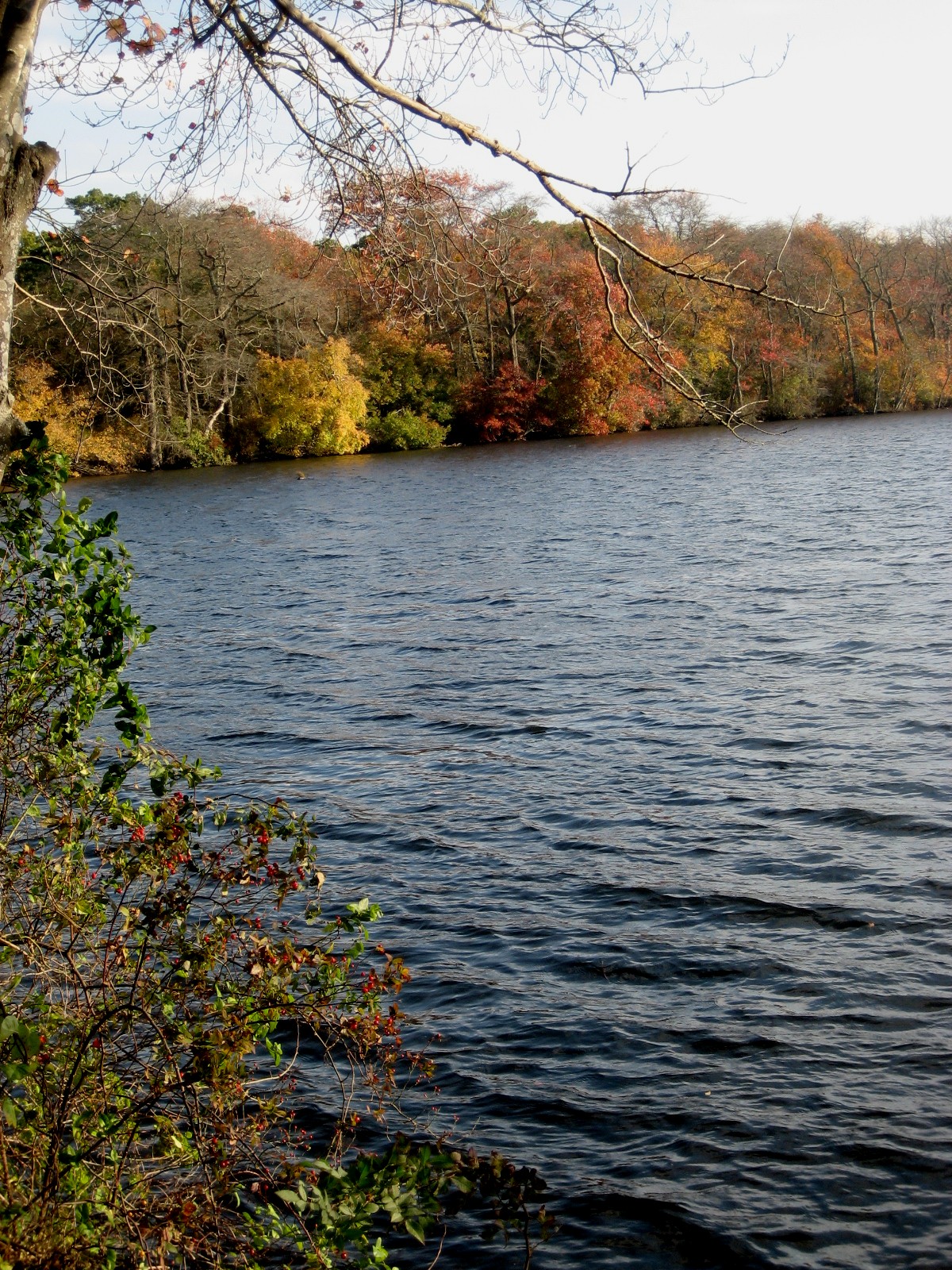 1417_435_KKM_Fall_07 045.jpg