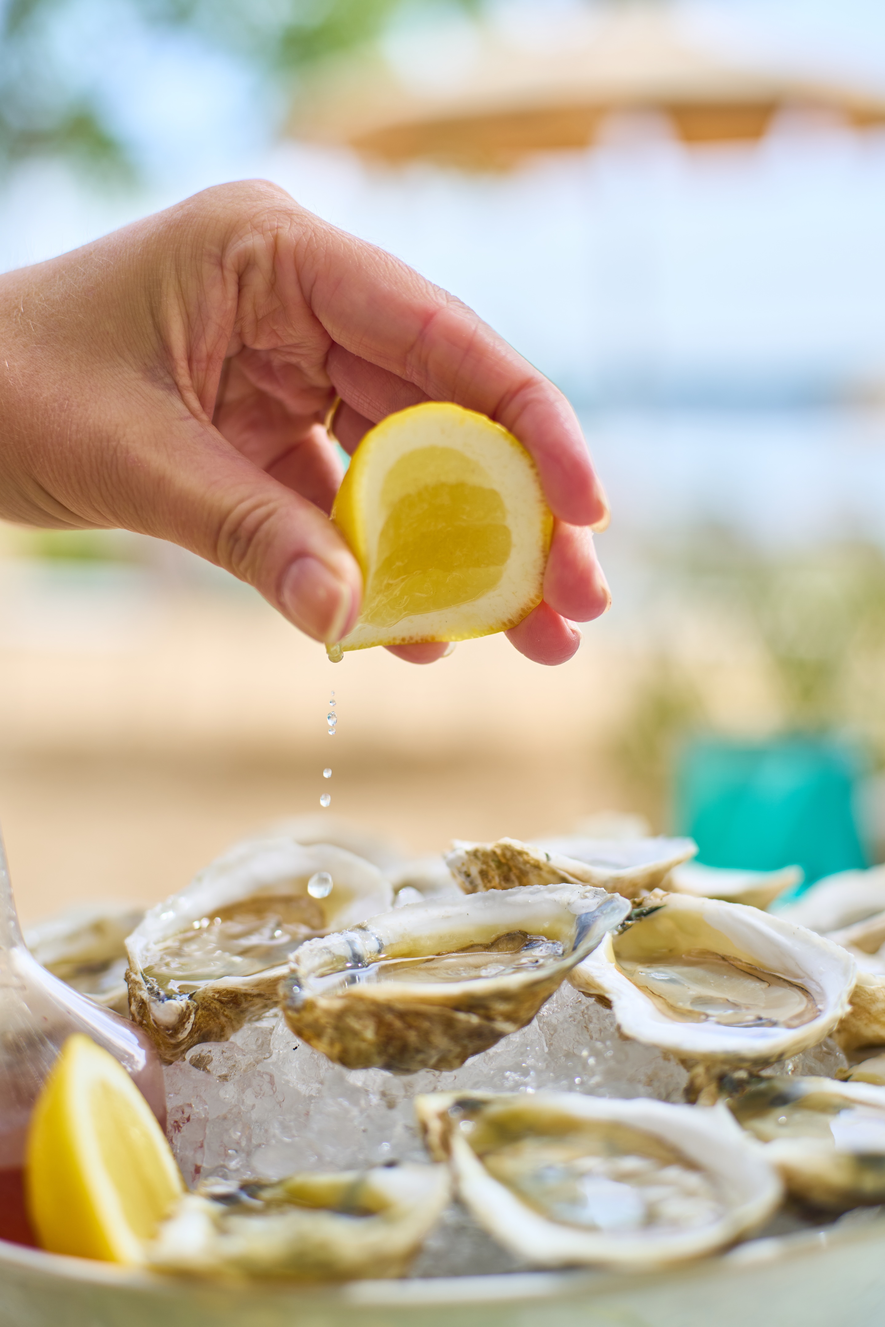 Homegrown oysters