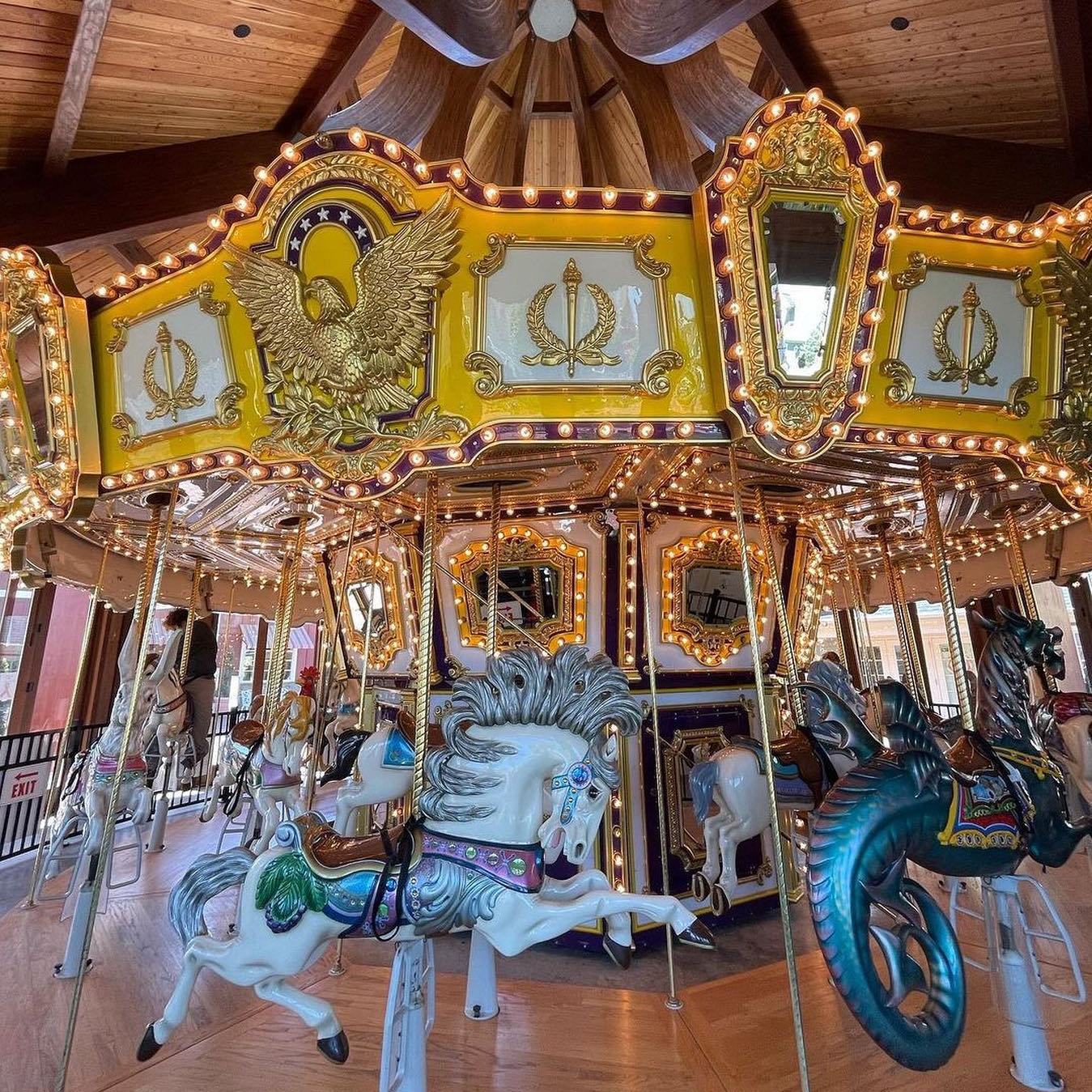 The Shoppes at East Wind Carousel