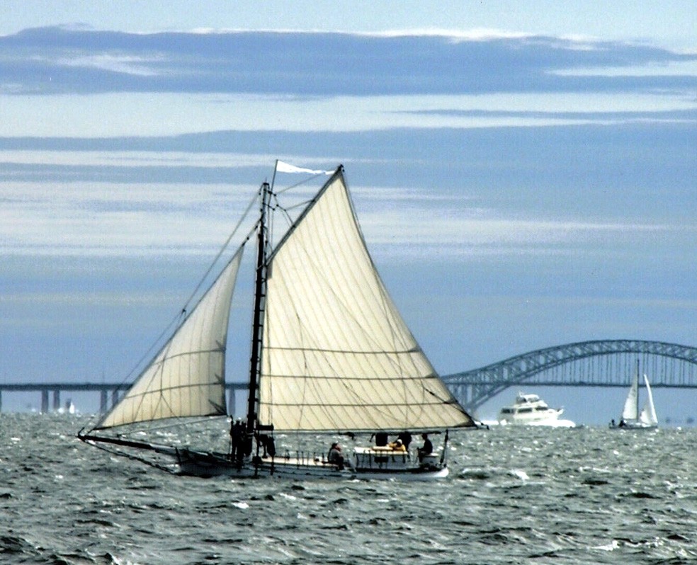 302_295_Maritime MuseumPriscilla sailing.JPG