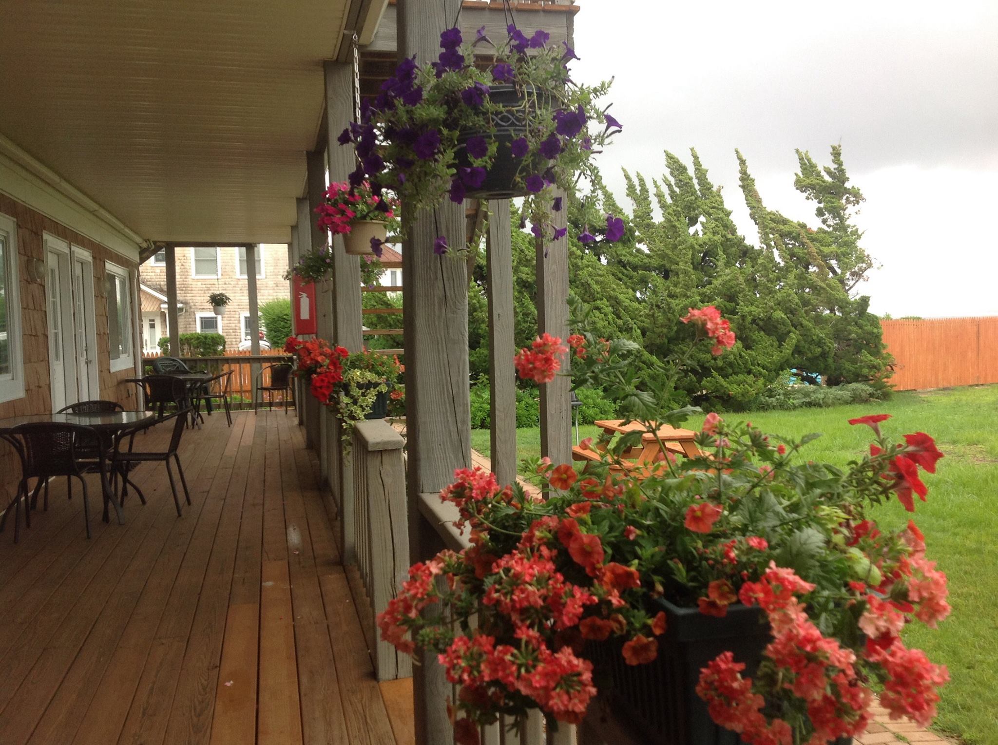 354_3281.jpg - beautiful decks overlooking the Bay