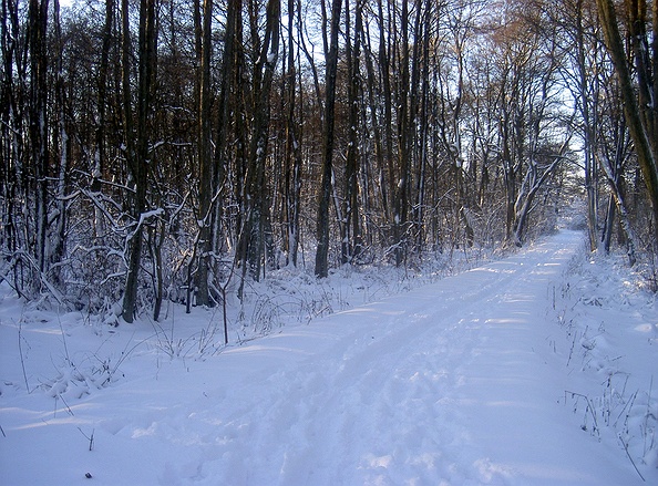 Laurel Valley County Park