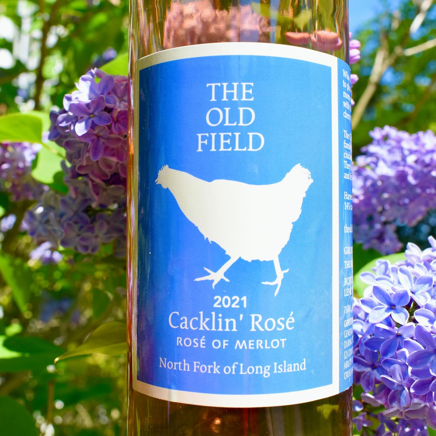 The Old Field Vineyards