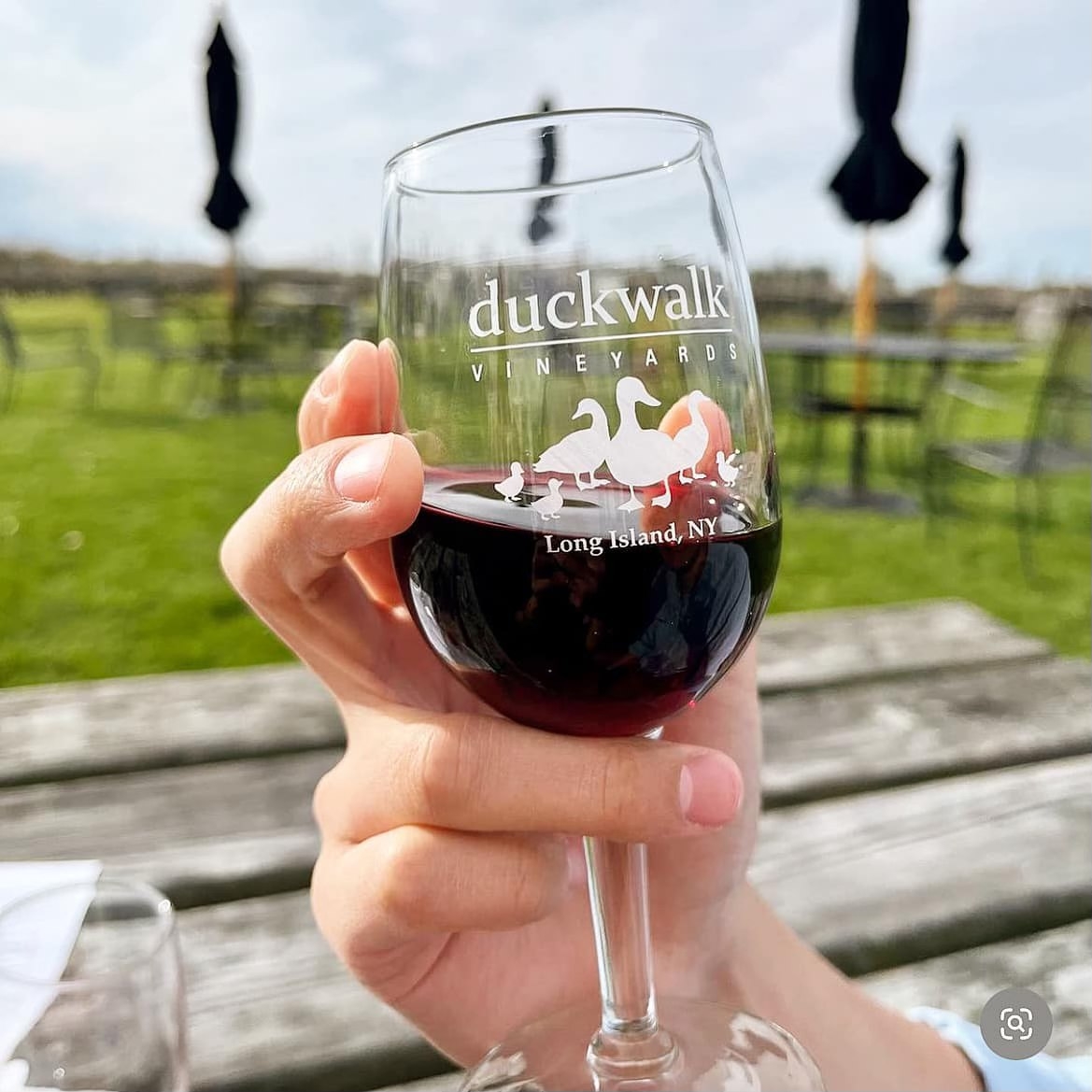 Duck Walk Vineyards