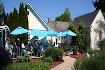 499_additional-6.jpg - Outdoor Garden Seating at Hampton Coffee Company in Water Mill