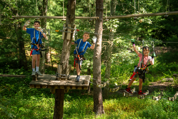 Climbing in the Trees