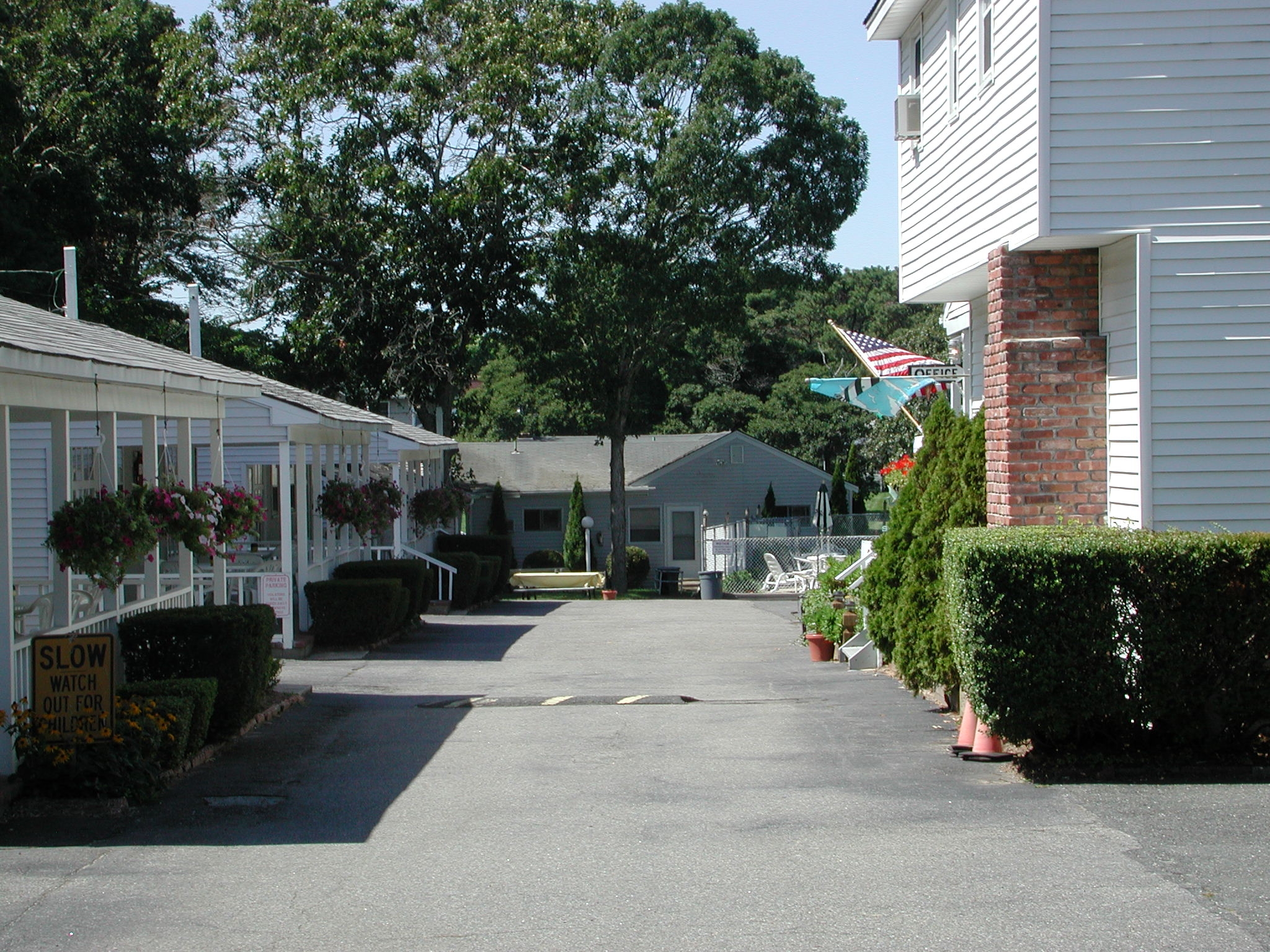5329_1342.JPG