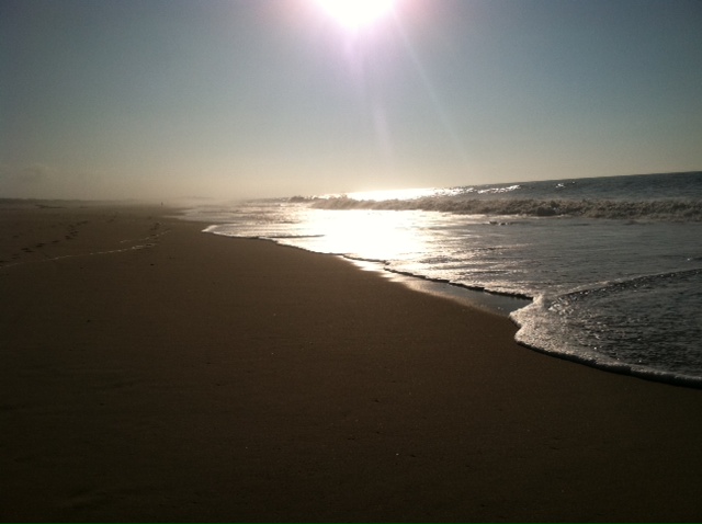 5412_2801.JPG - Catch an early morning sunrise on the beach