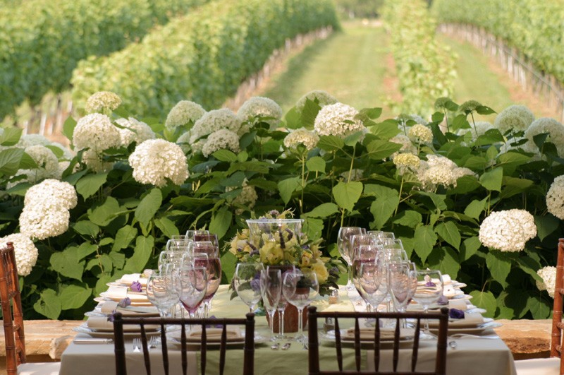 553_377_Wolffer Estate Table Overlooking Vineyard 72dpi.jpg