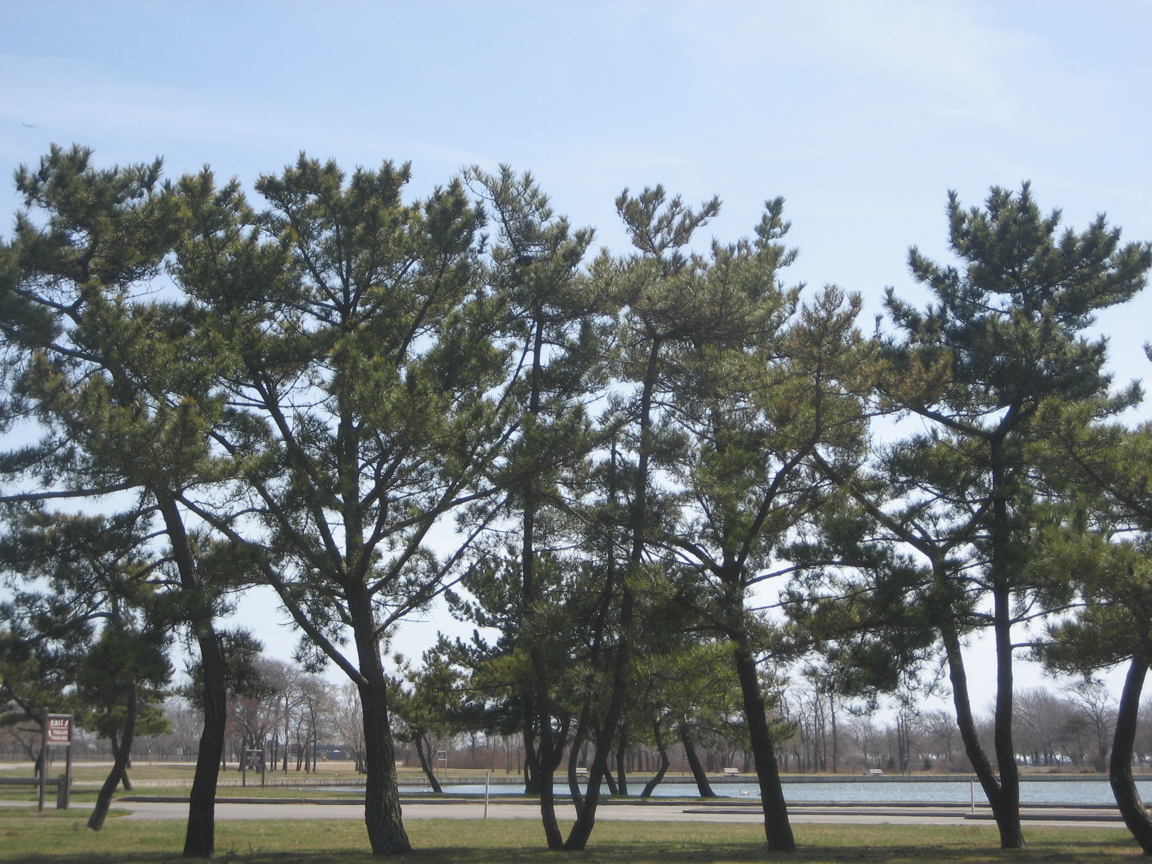 6058_274_Heckscher2008 KKM 008.jpg