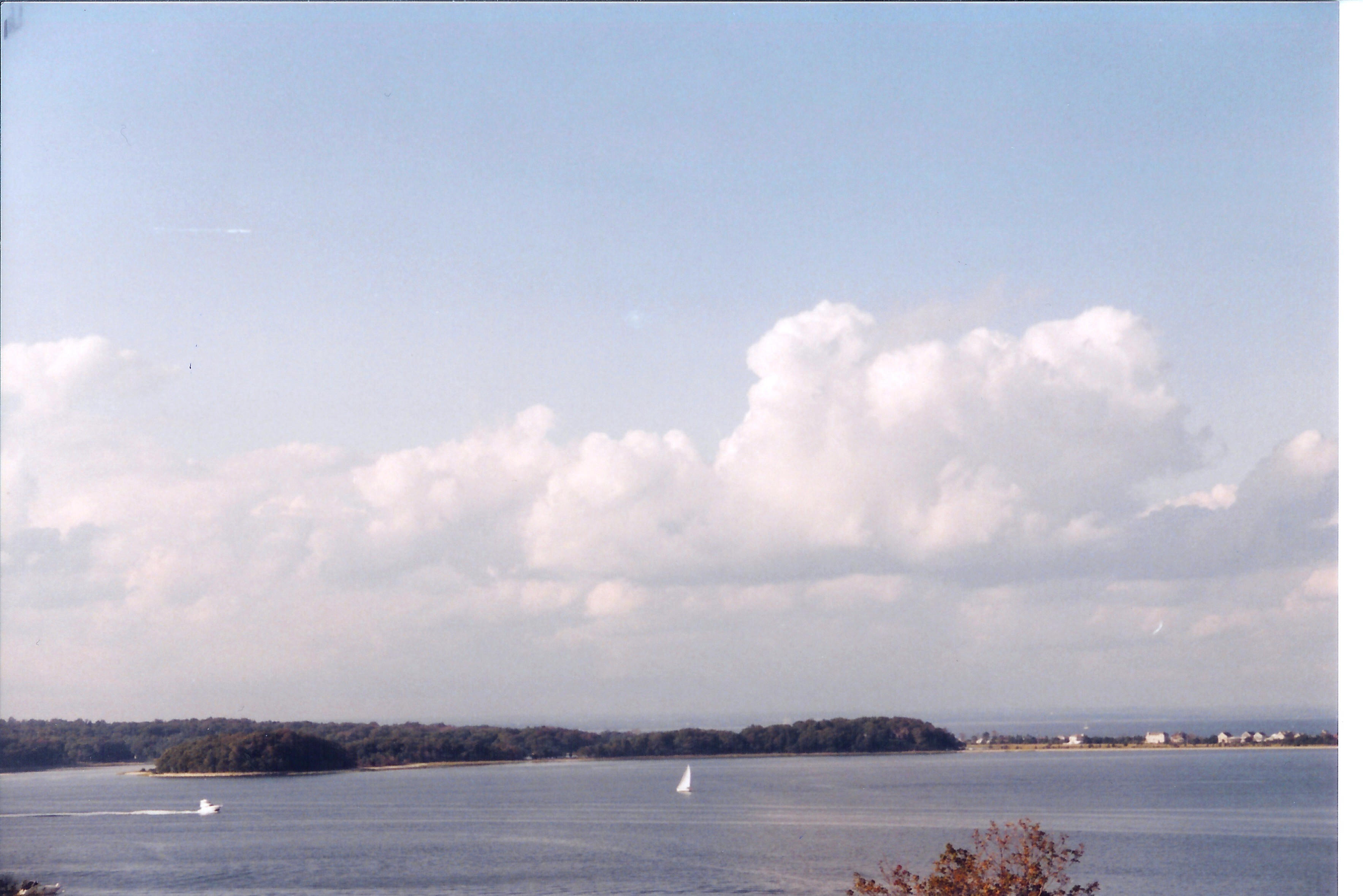 6059_1063.jpg