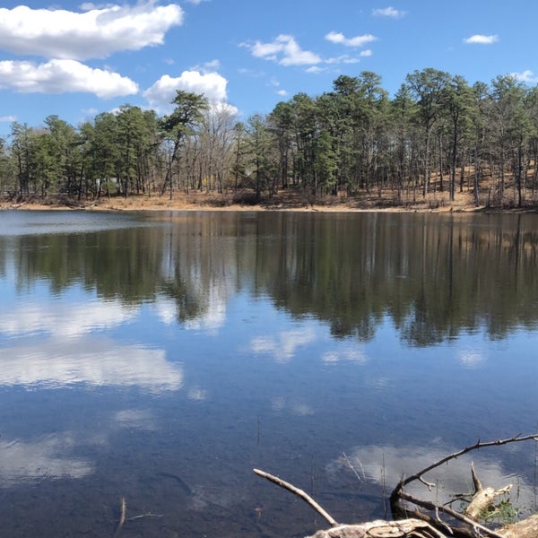 Brookhaven State Park 1