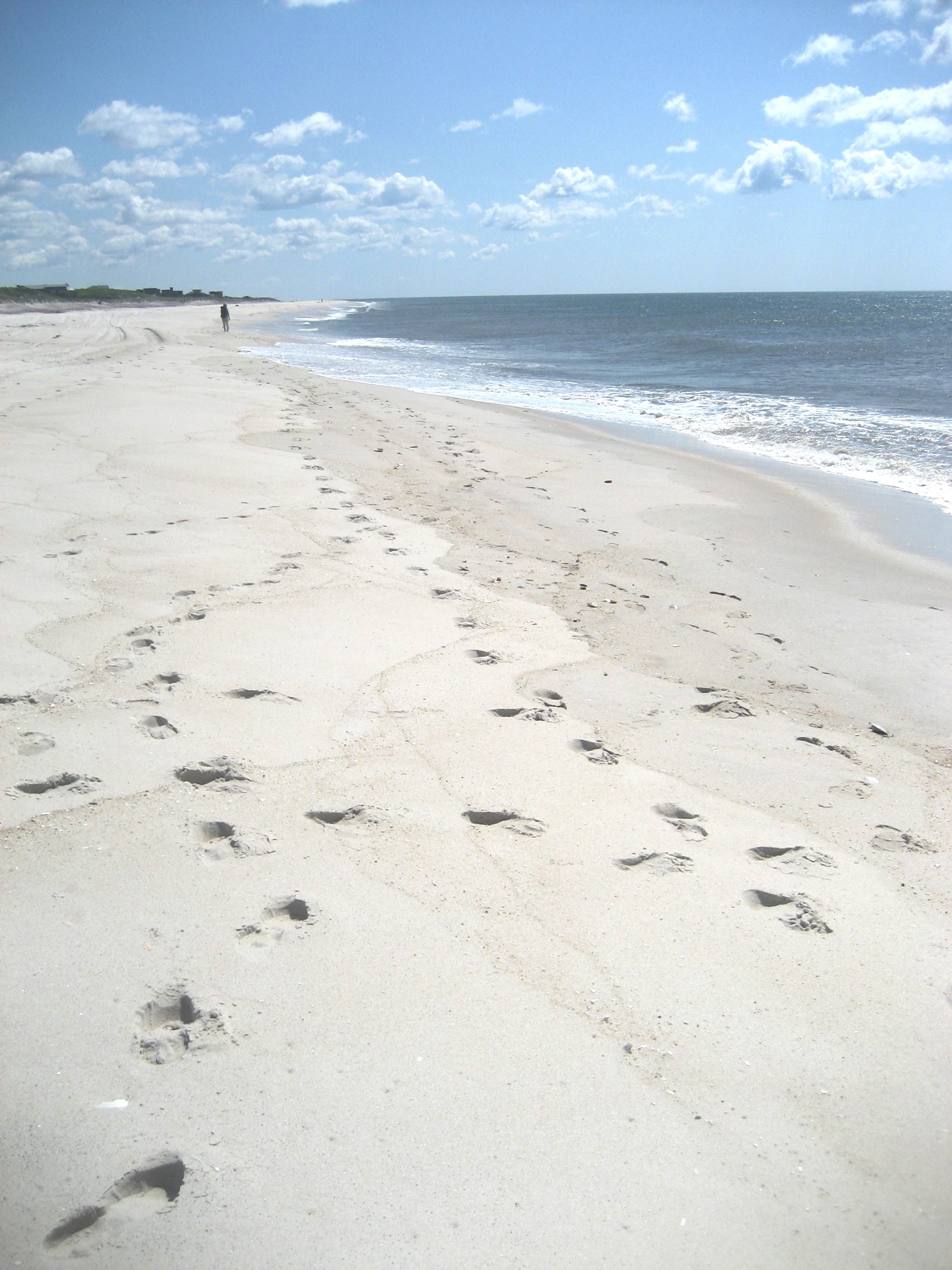 Two Mile Hollow Beach: A Traveler's Paradise