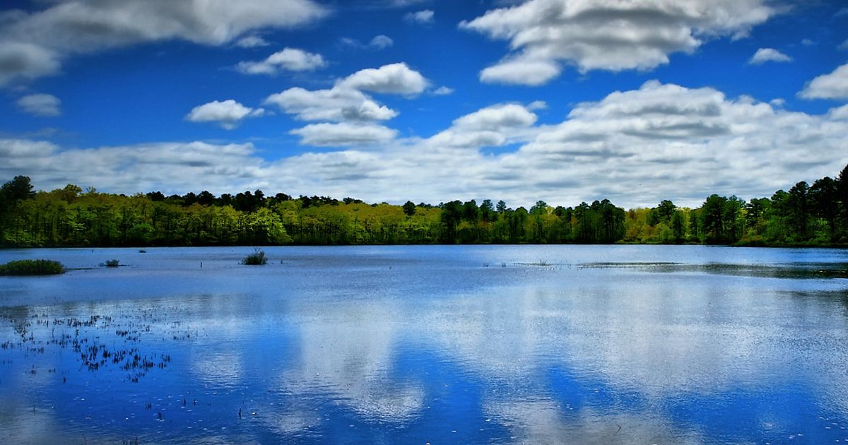 Calverton Ponds Preserve