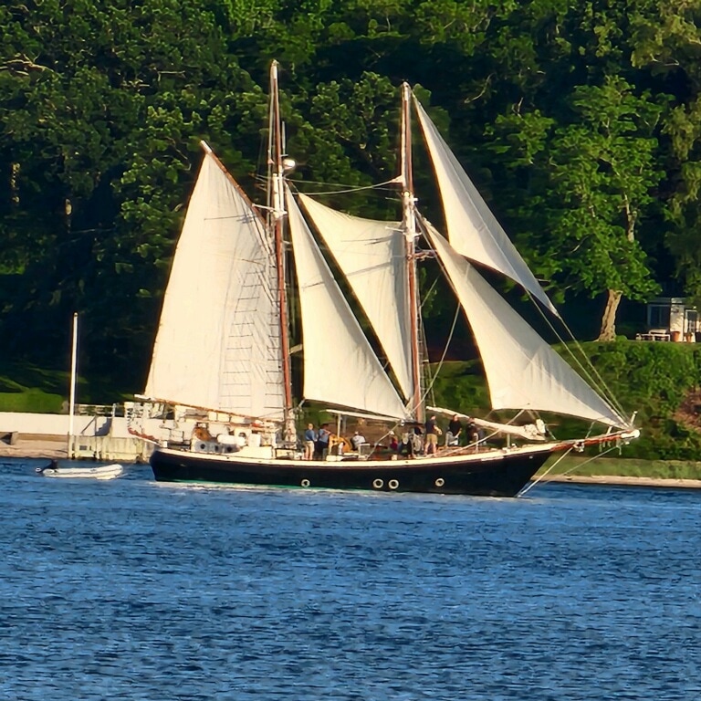 【新品】Schooner スクーナー　5.9 JSサーフボード 最新モデル マイキーライトシグネイチャー