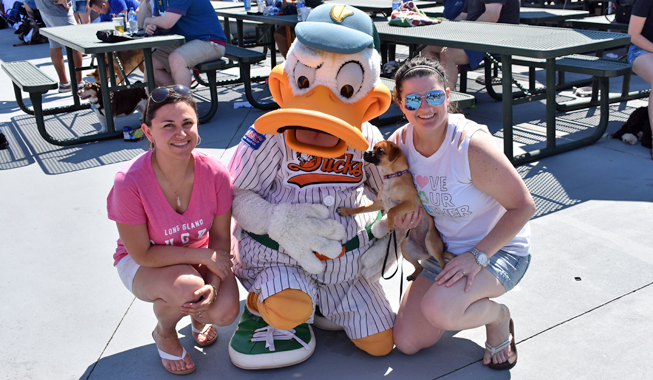 Bark in the Park at the LI Ducks