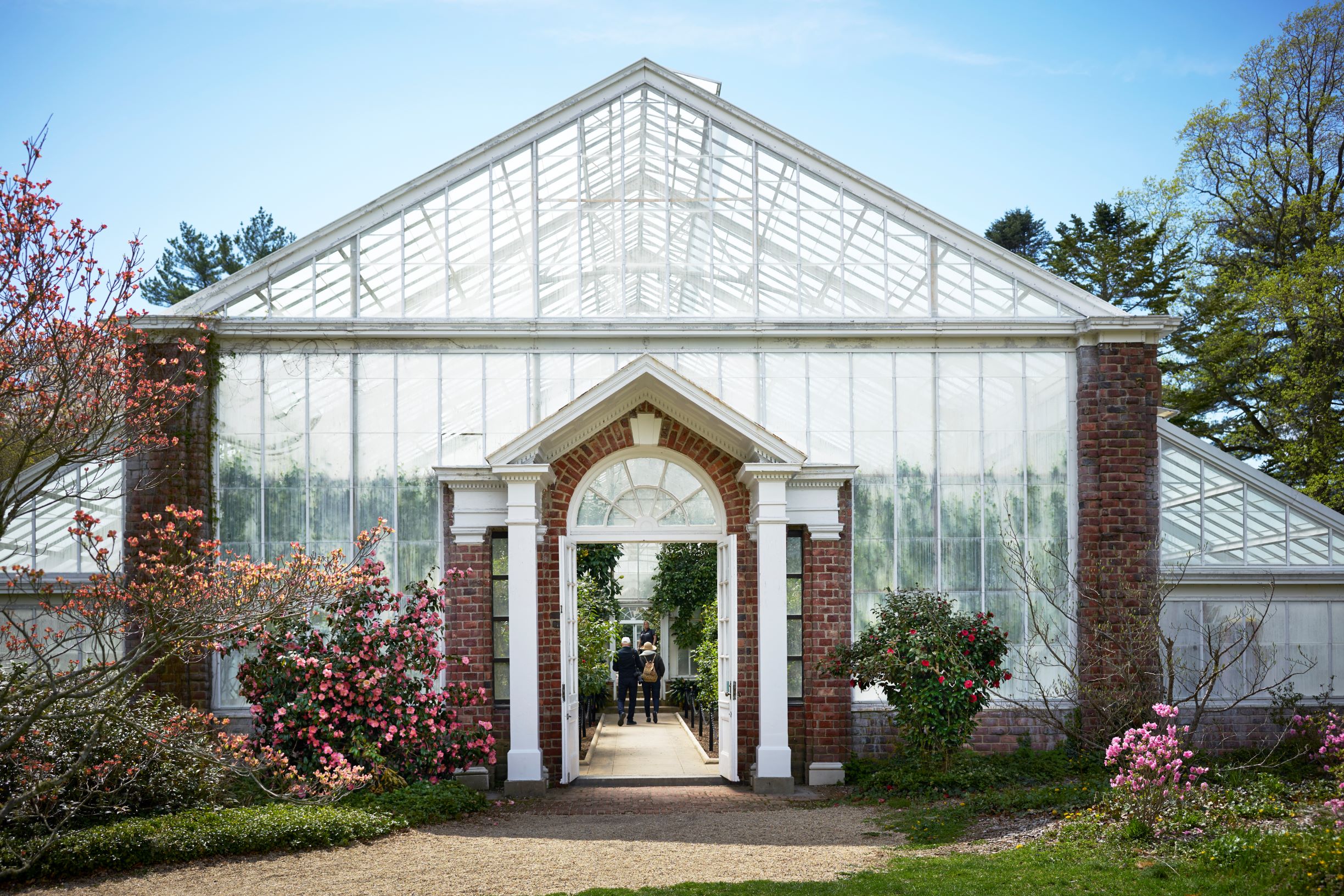 Camellia Greenhouse