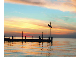 Cherry Grove