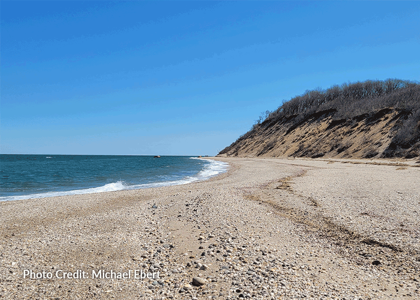 Cordwood Landing Beach - Credit: Michael Ebert