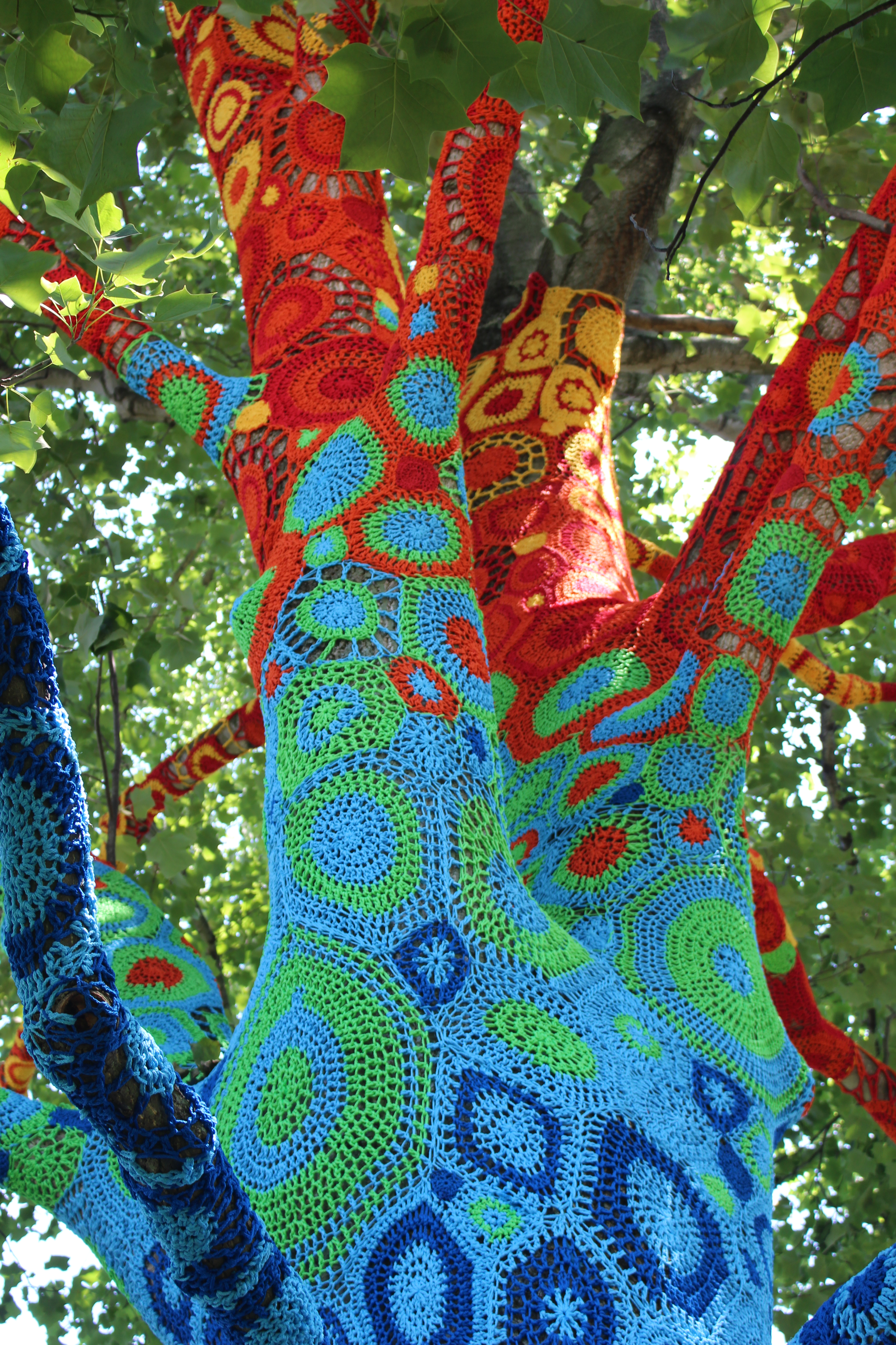 Artist Carol Hummel and volunteers, wrapped six trees with beautifully-colorful yarn.