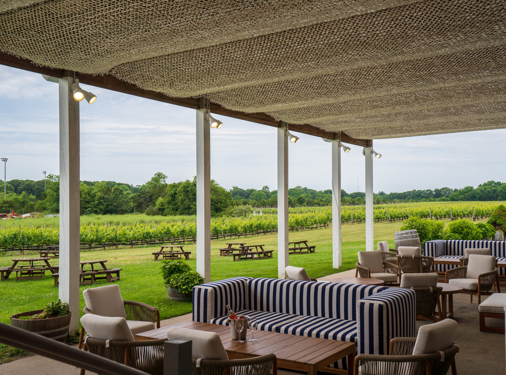 Ev&Em Vineyards 1