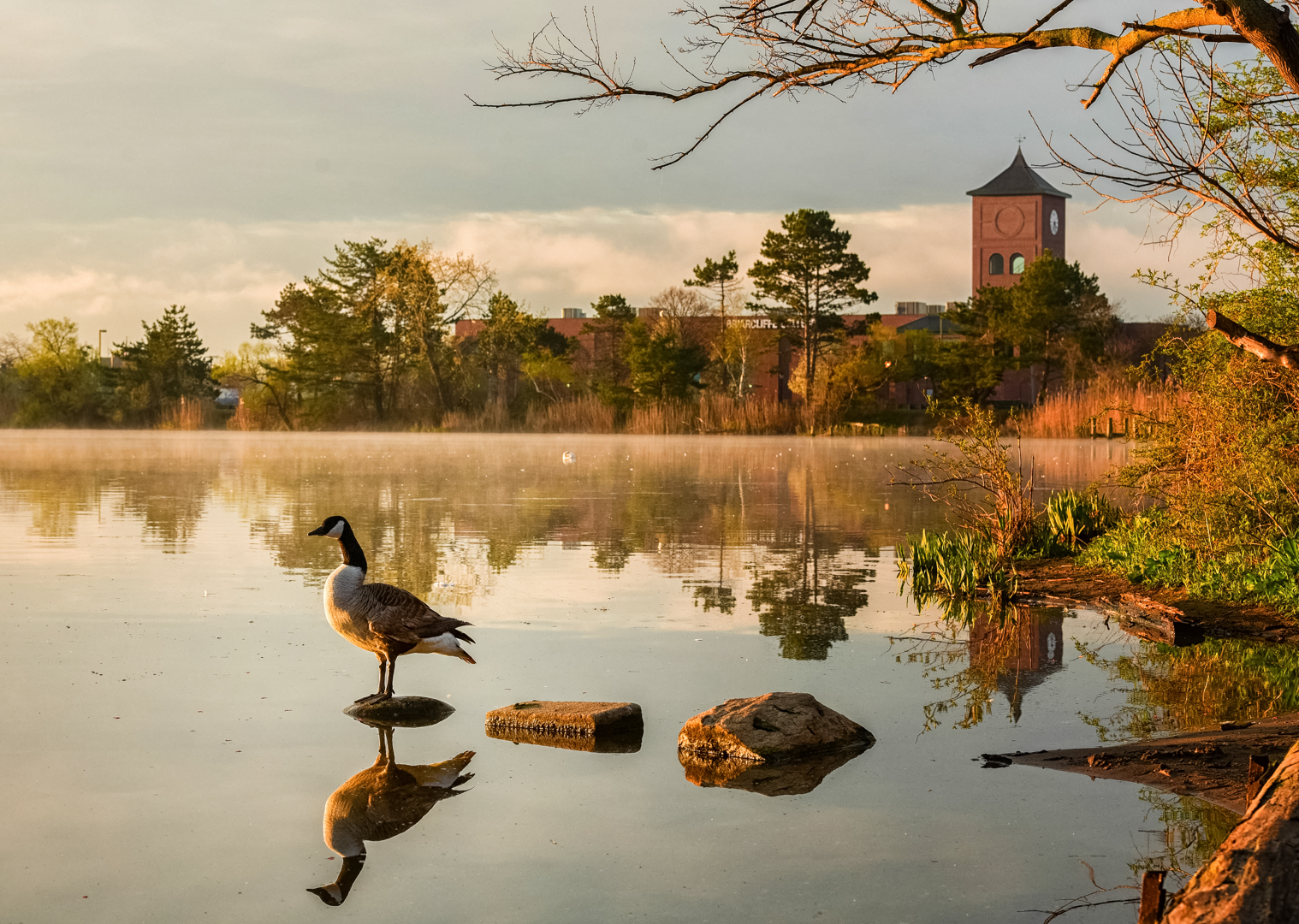 Patchogue Lake - Patchogue Lake with view of future Bluepoint Brewery