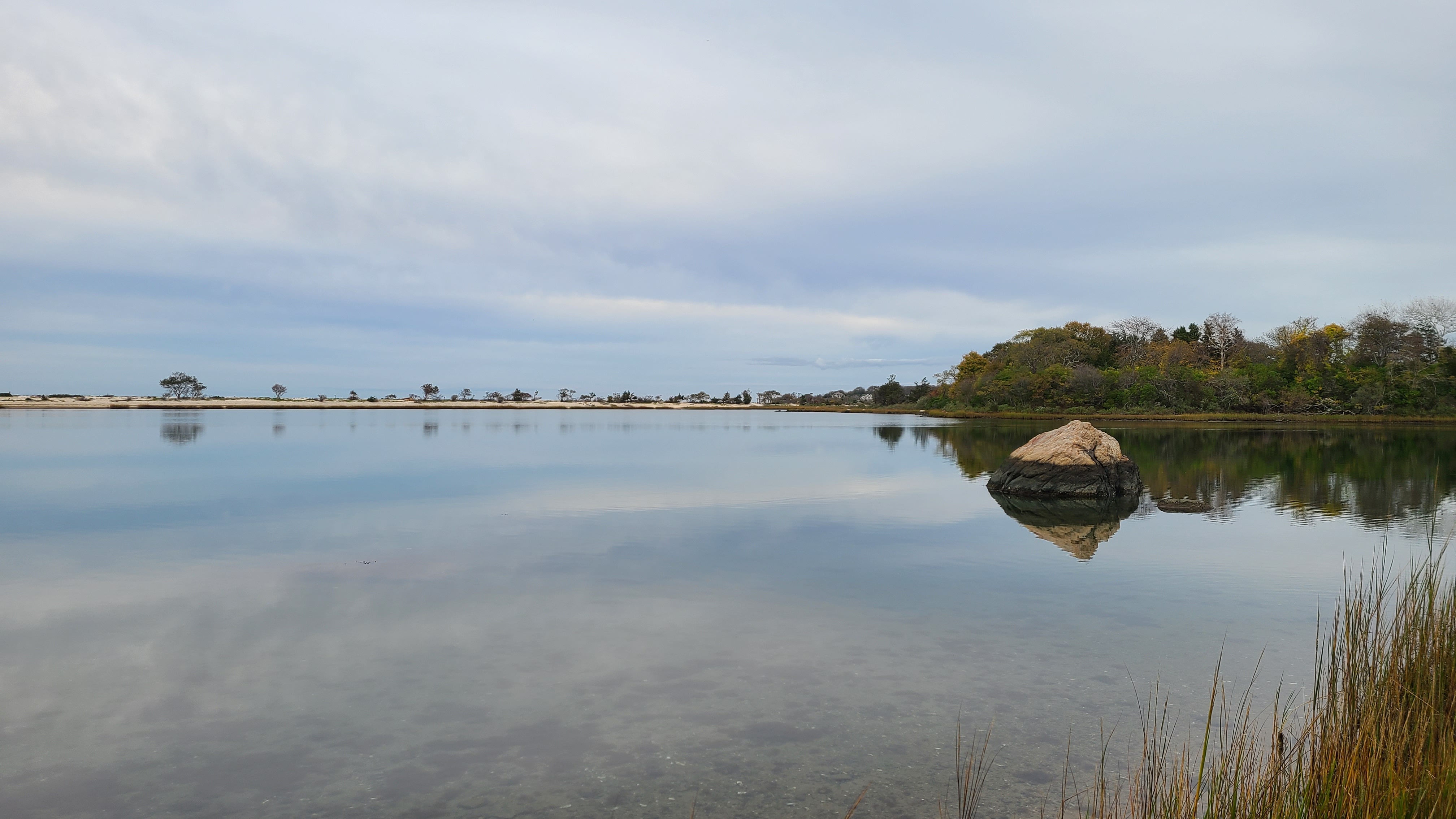 Ruth Olivia Preserve at Dam Pond