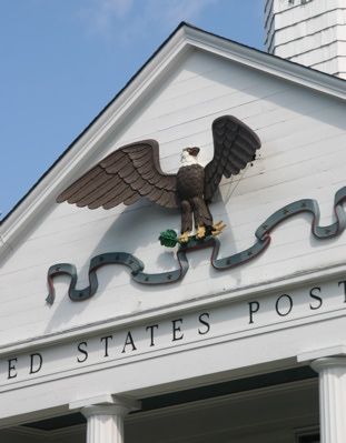 Eagle Flapping It's Wings