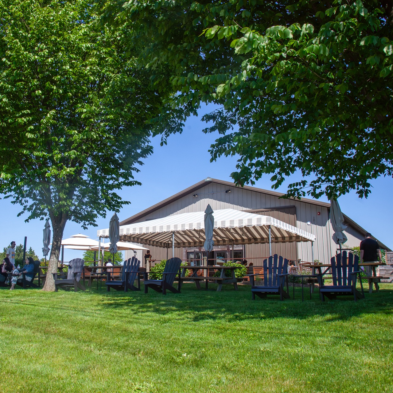 Suhru & Lieb Vineyards Patio and Lawn - Enjoy a glass of wine or tasting flight on our relaxing patio and lawn overlooking farmland