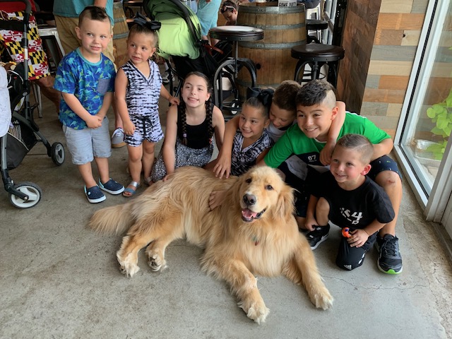 Buddy is the OG brew dog!!