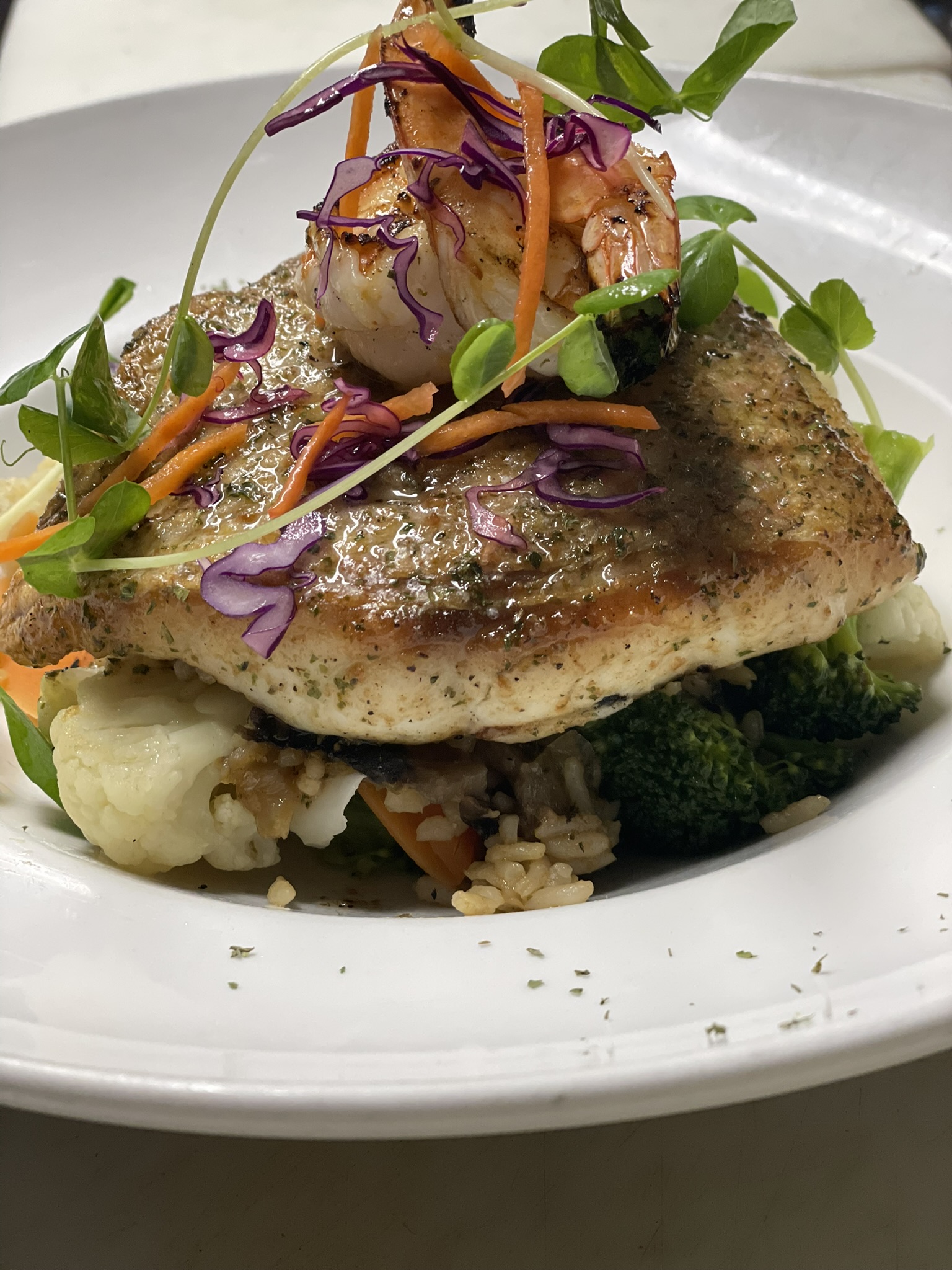 Barramundi