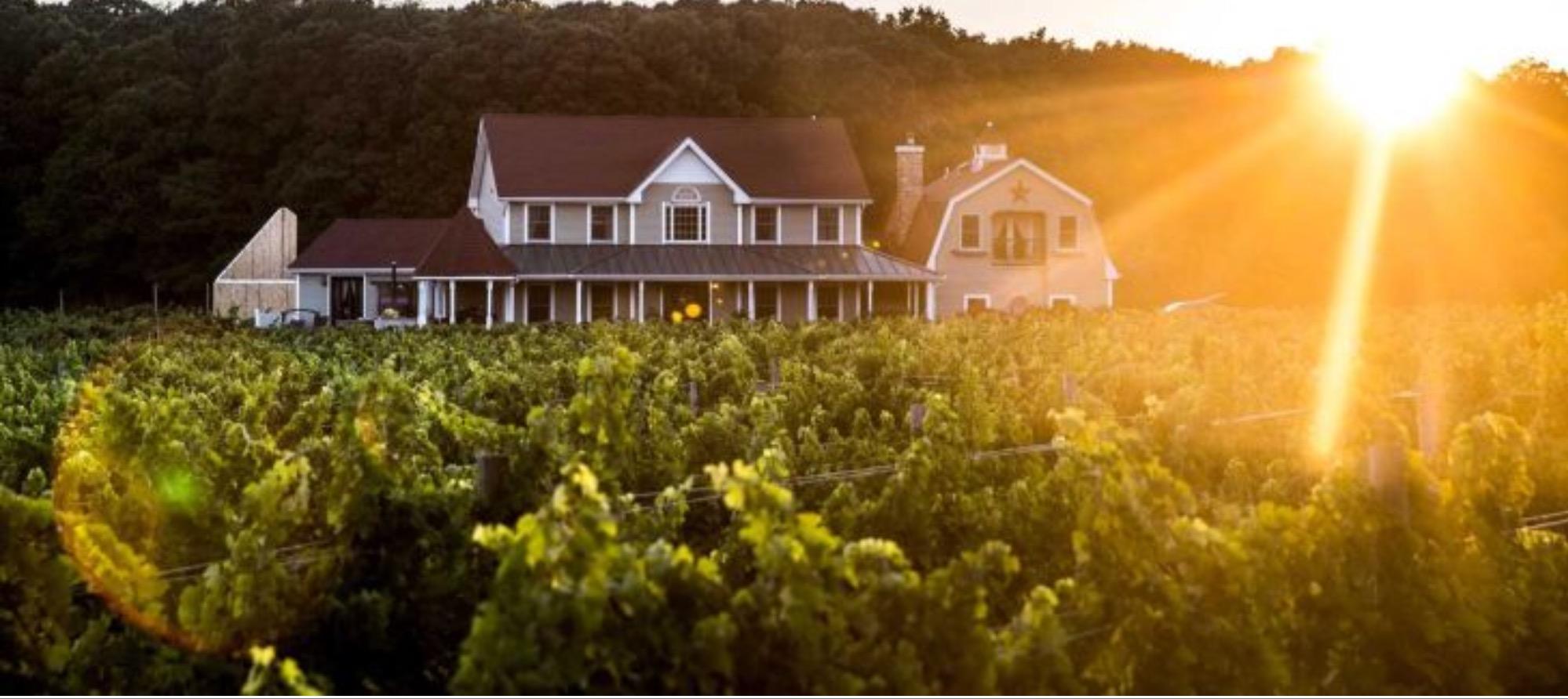 Sannino Vineyard B&B