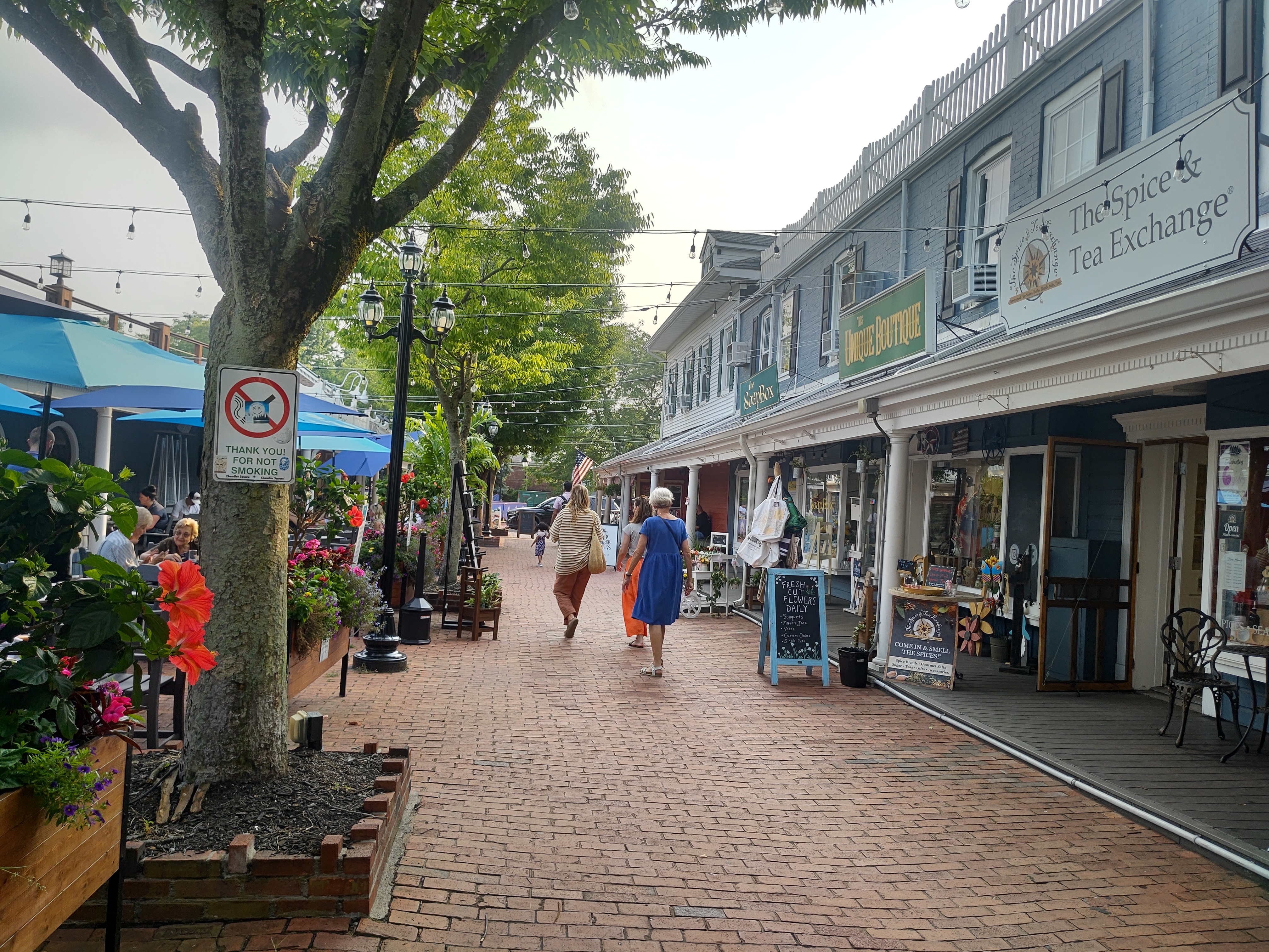 Chandler Square - Chandler Square